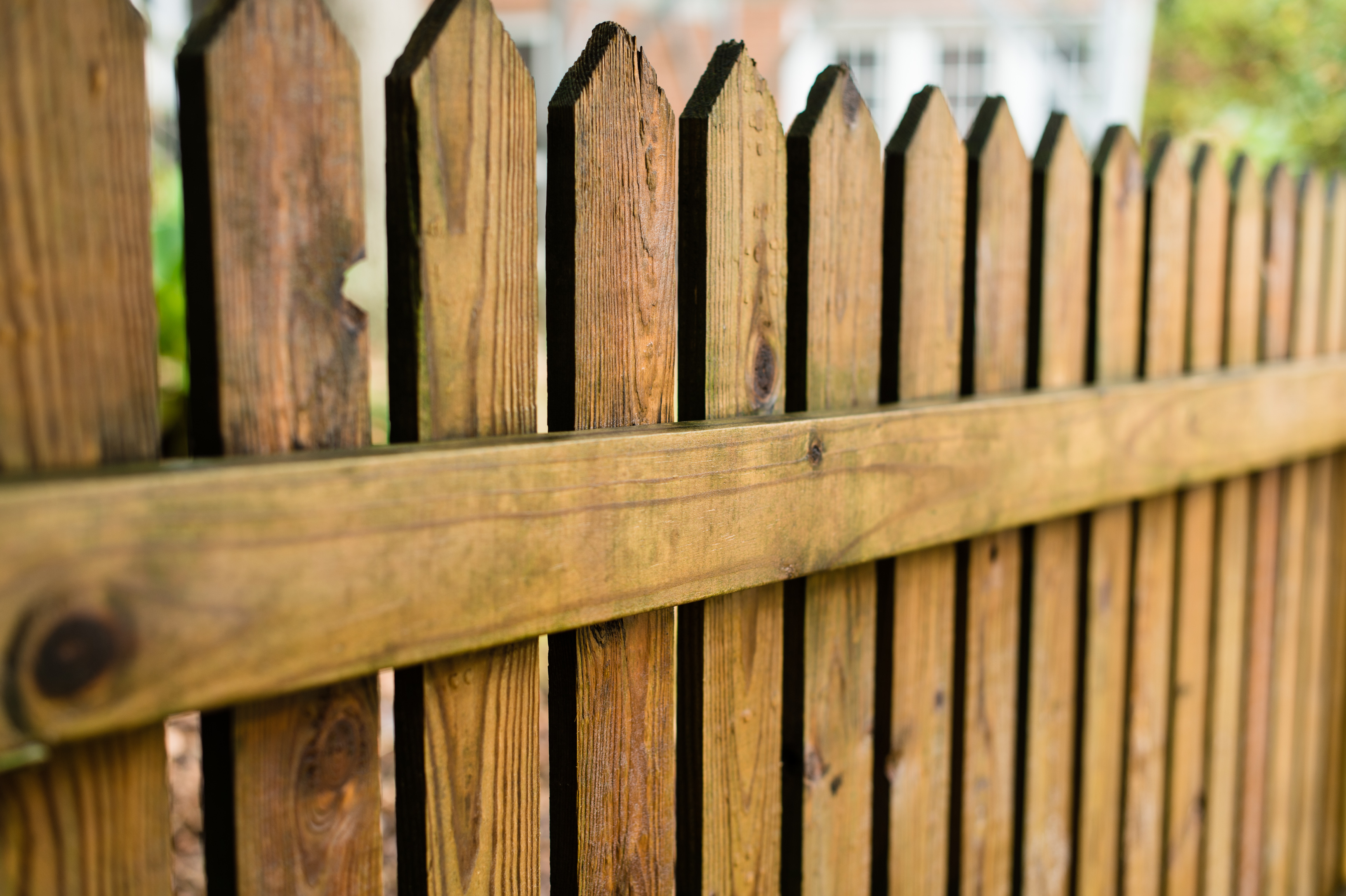 Fence Cleaning | Renew Crew, Outdoor Surface Cleaning