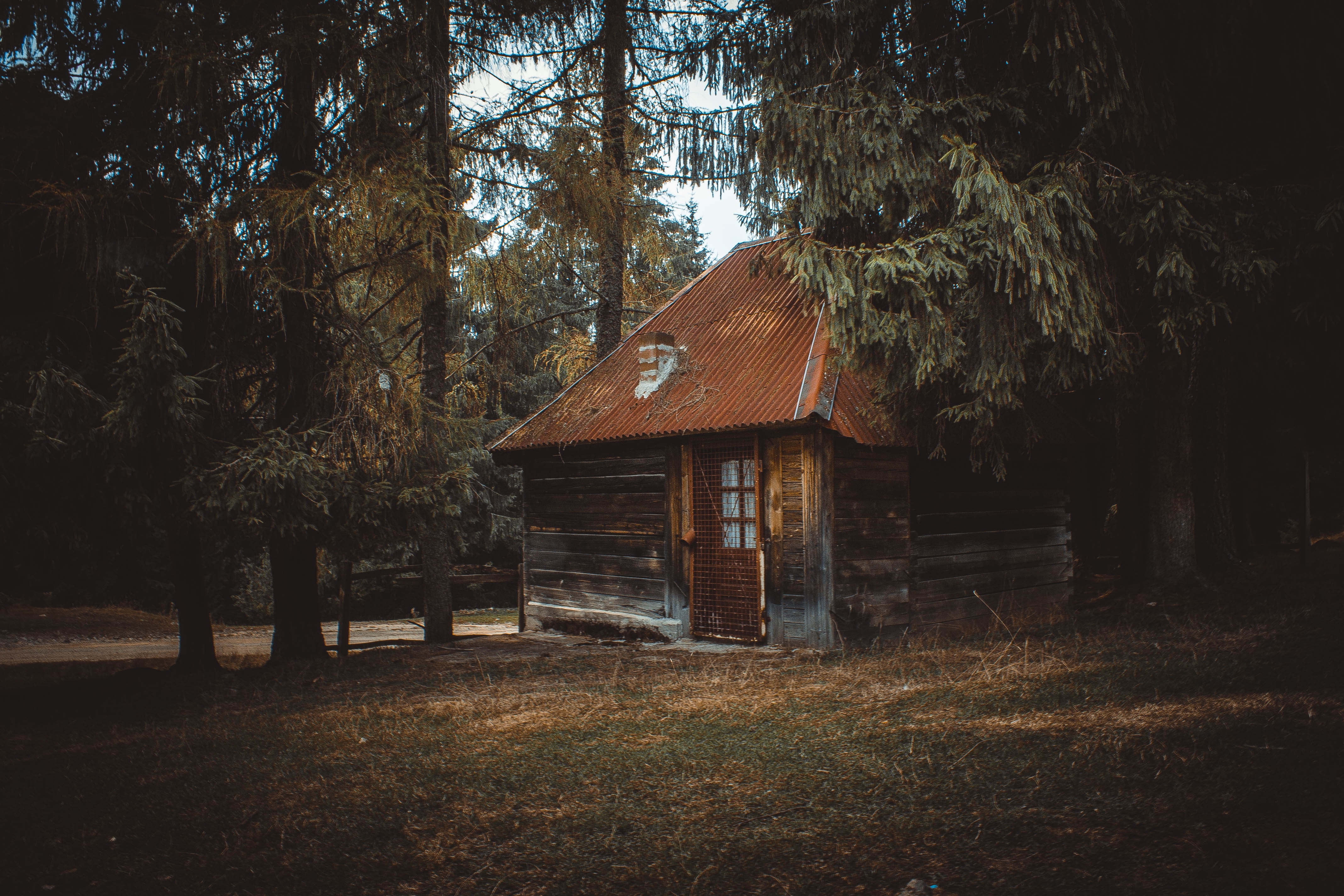Wooden house on a forest photo
