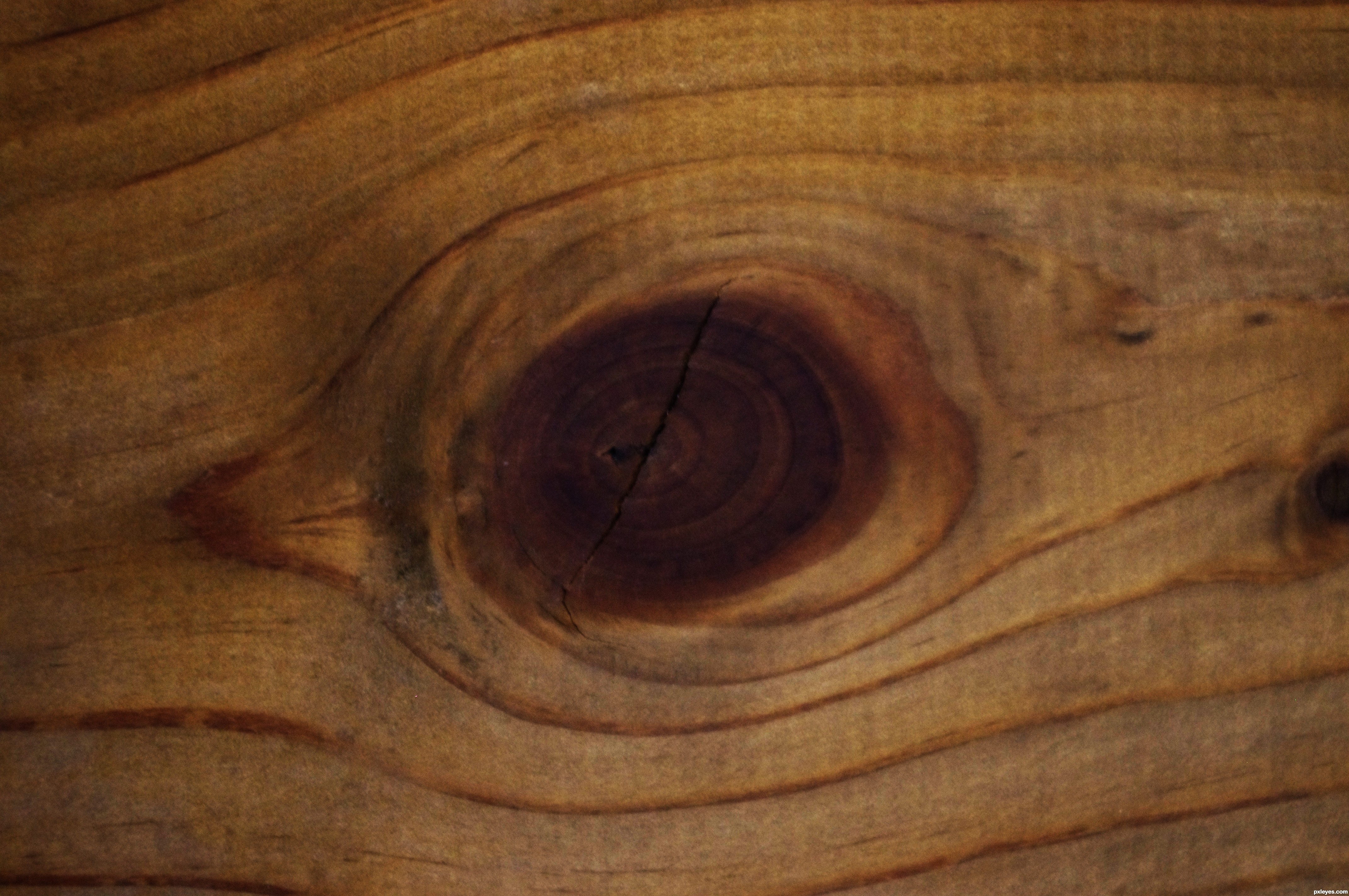 just wood picture, by matsx2 for: wood knots photography contest ...