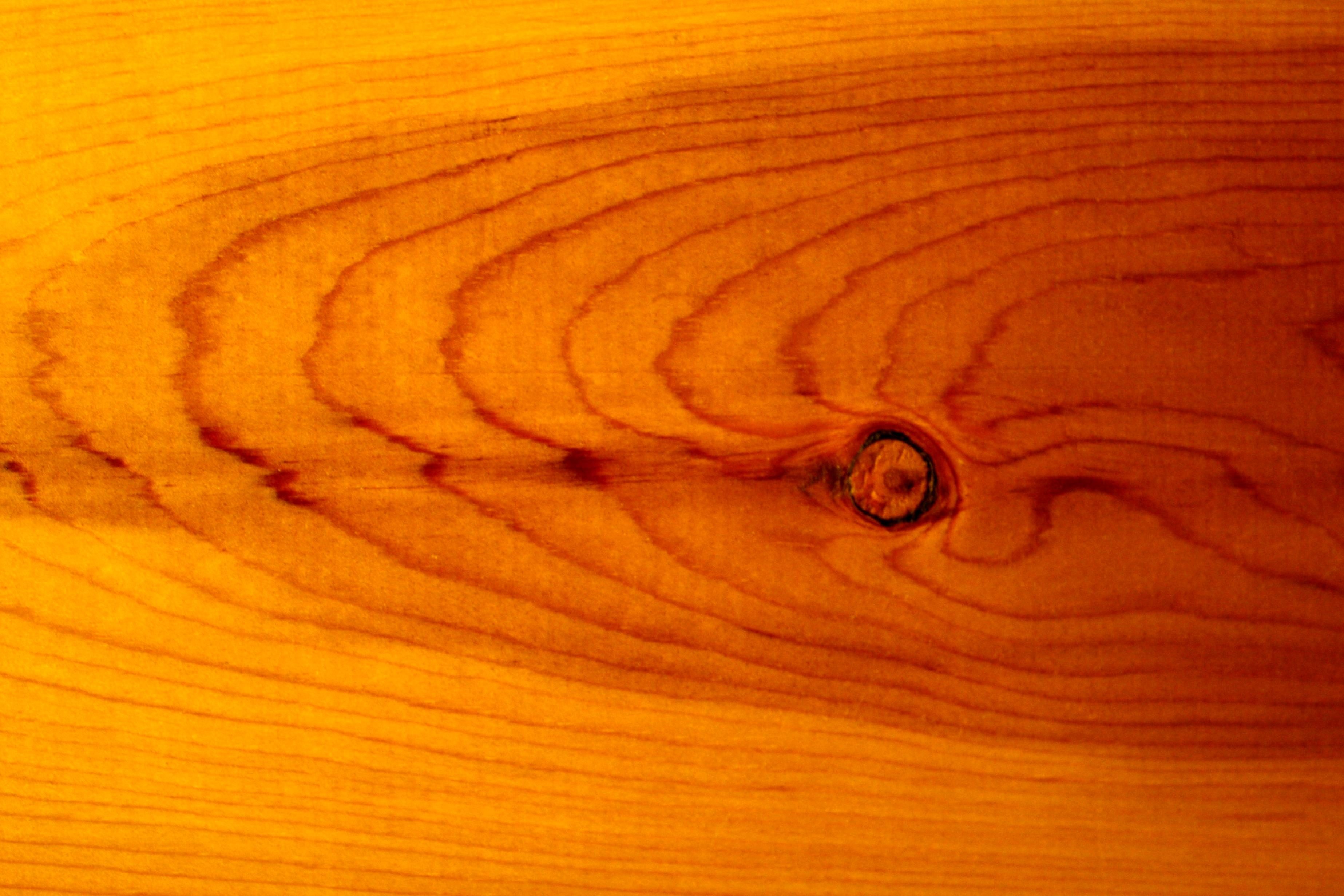 Free picture: wooden knot, wood board, plank, texture