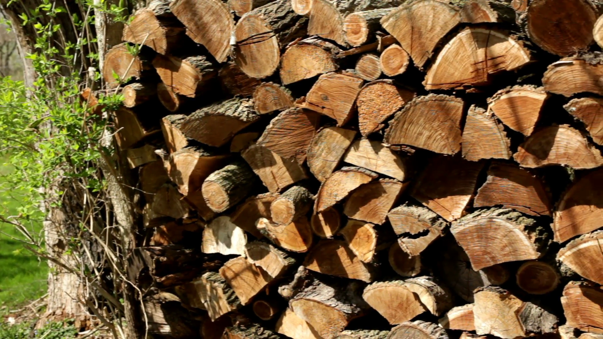 Wooden logs Stacked Stock Video Footage - Videoblocks