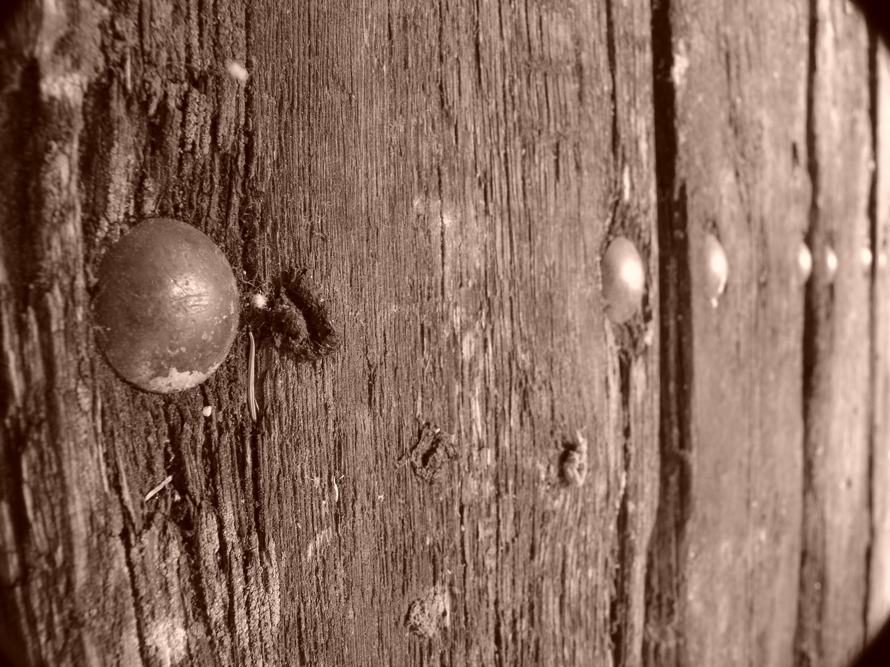 Wooden plank, Brown, Dark, Nails, Plank, HQ Photo
