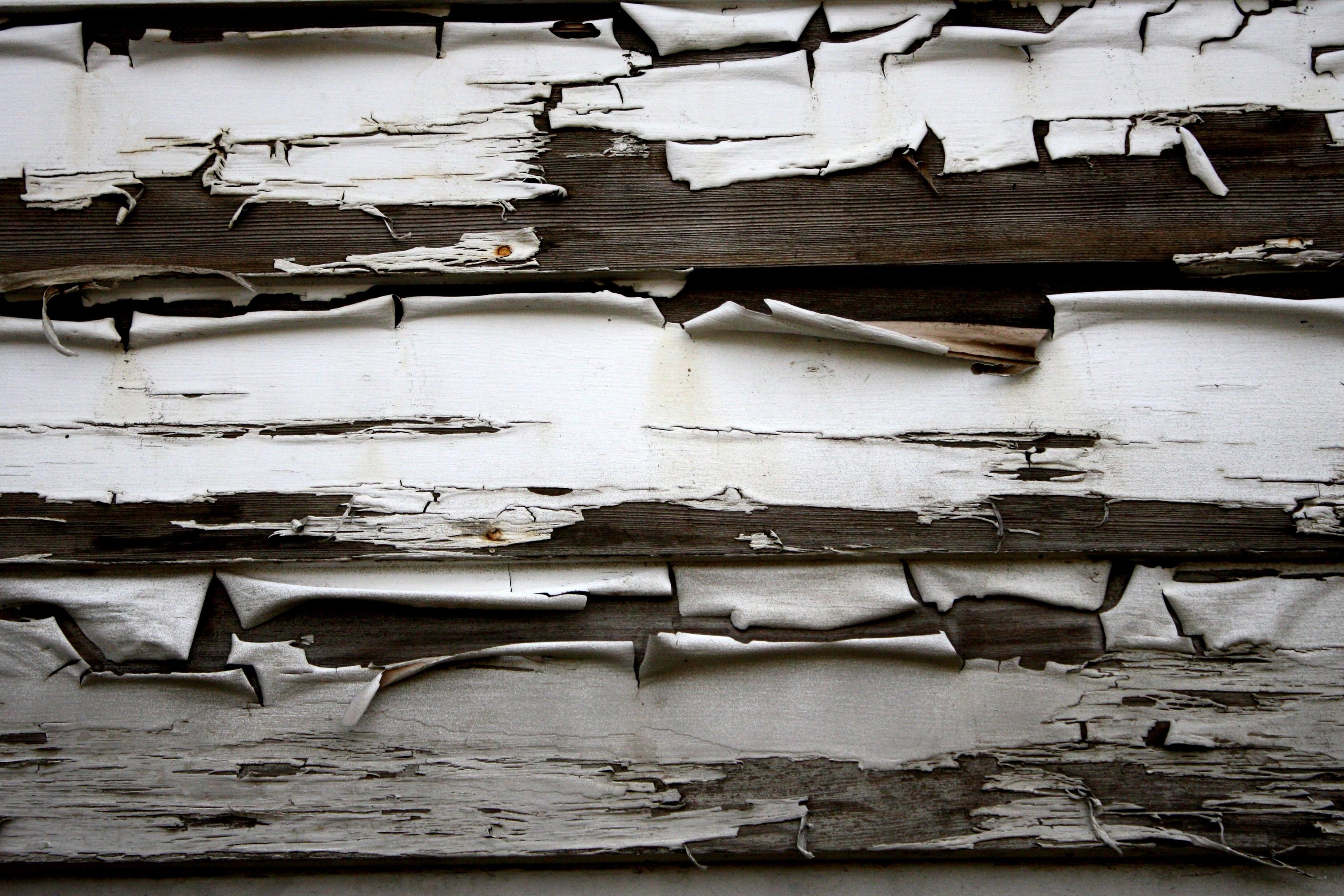Free picture: peeling paint, wooden planks, texture