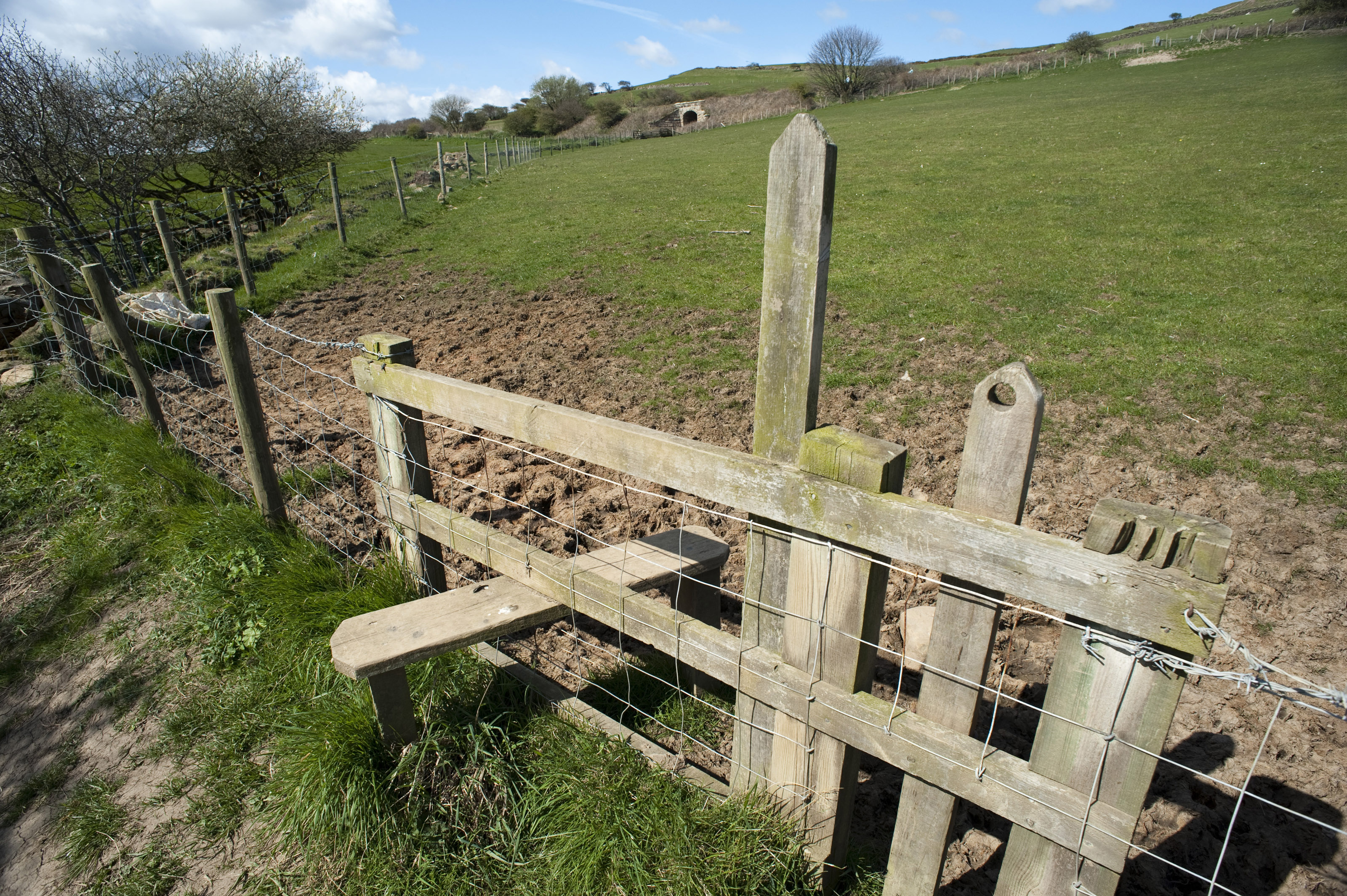 Fence and wooden stile-4095 | Stockarch Free Stock Photos