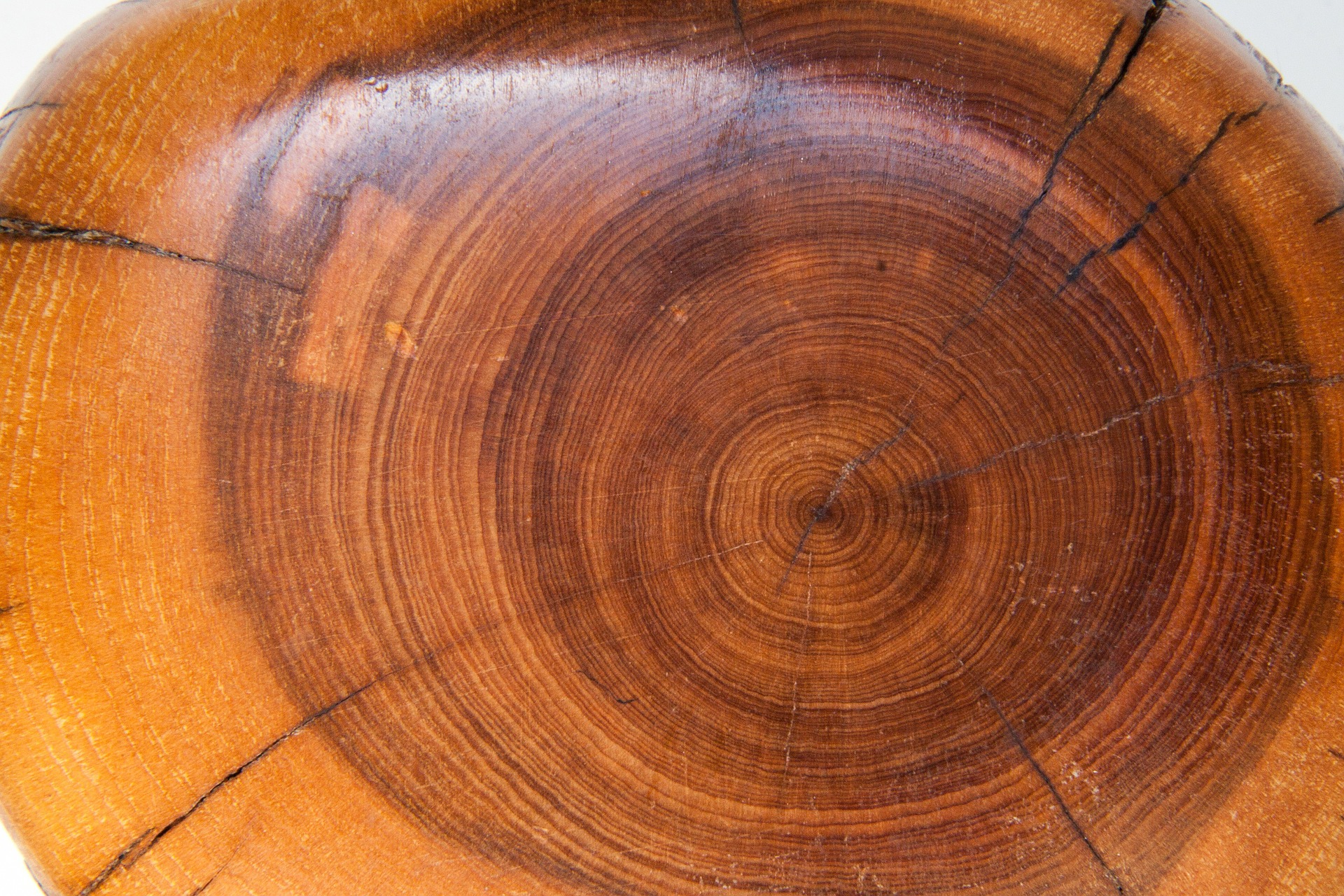 Wooden Texture, Circle, Design, Spiral, Texture, HQ Photo