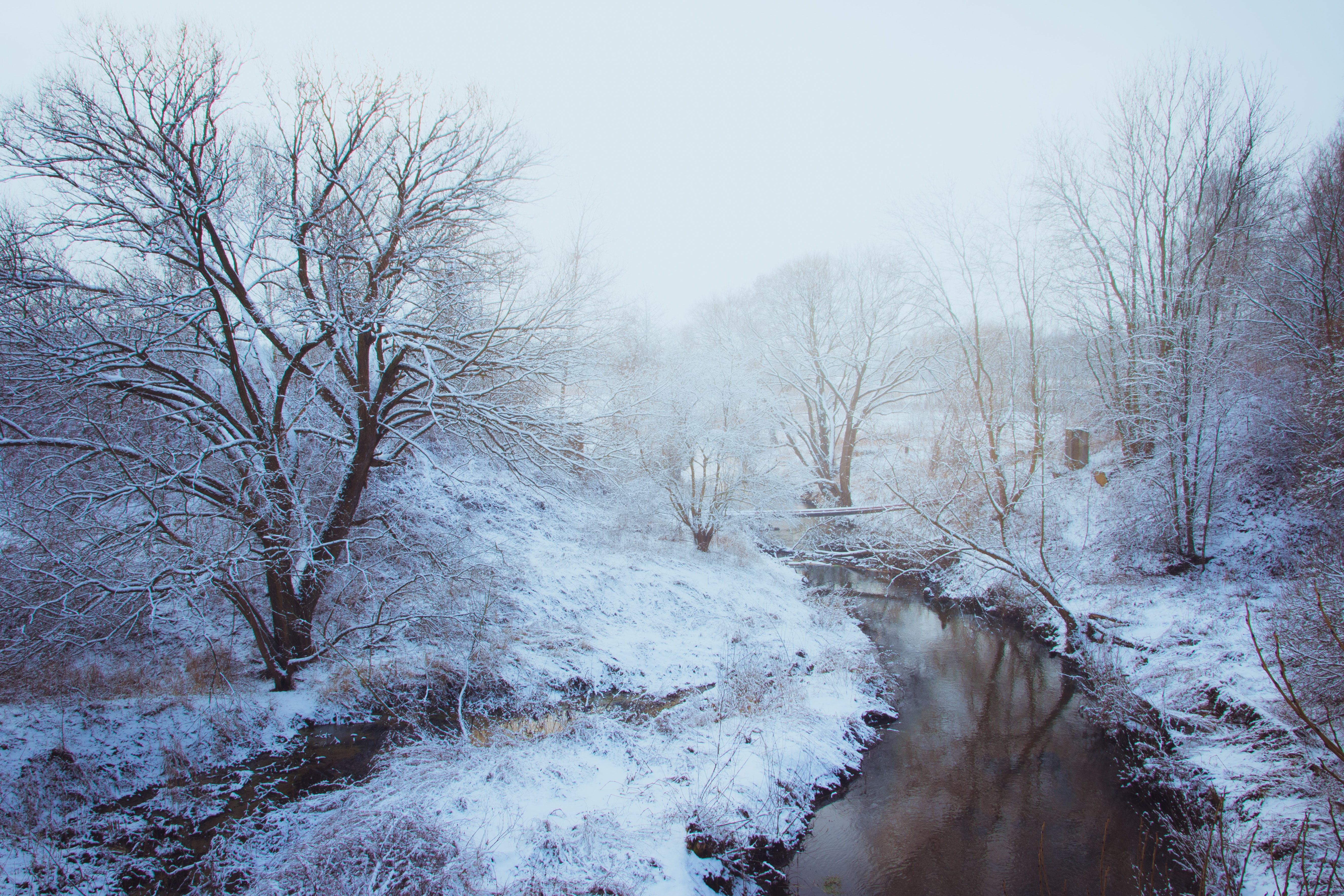 Woodland stream covered with snow photo