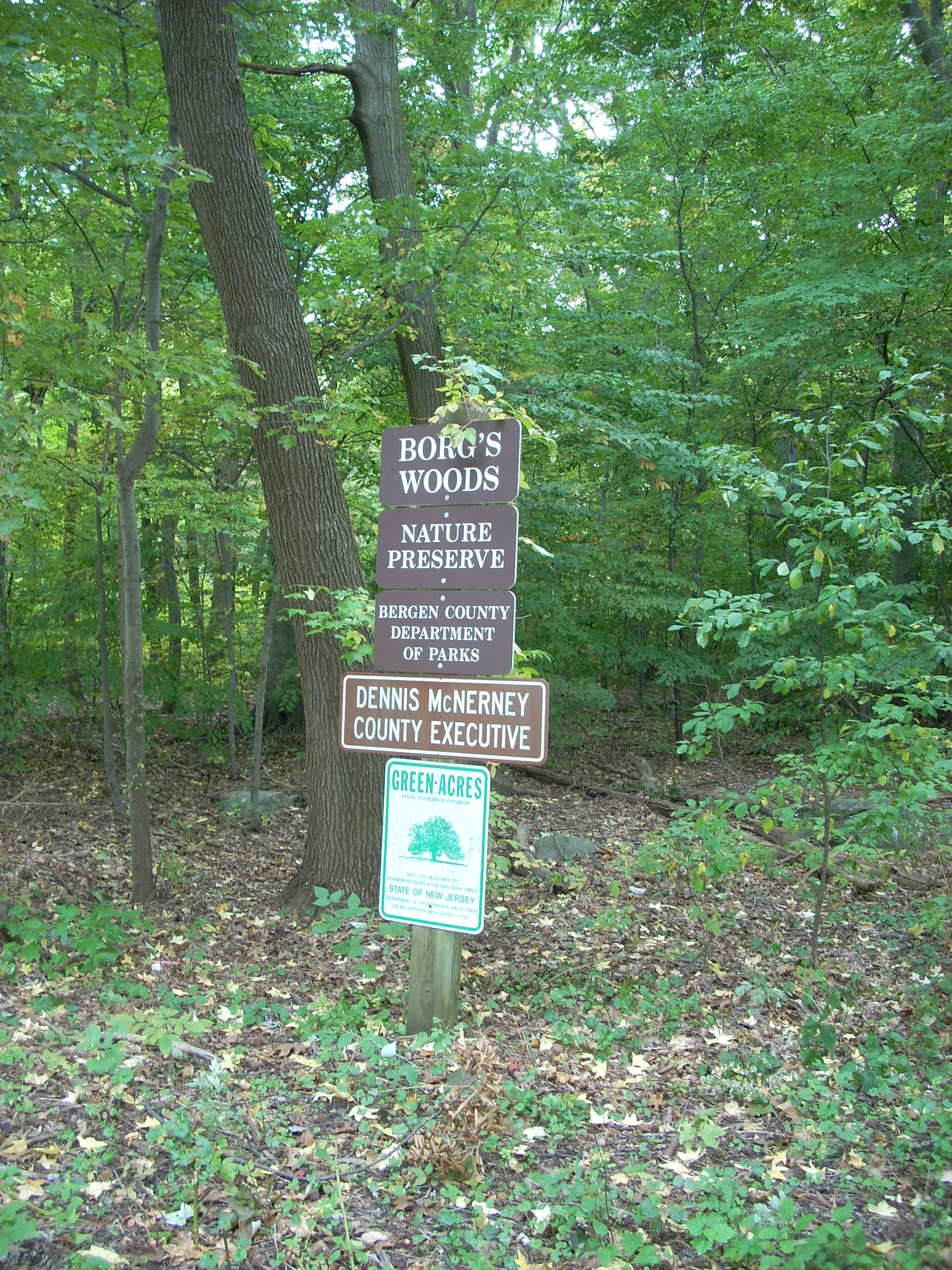 Hackensack's Borg's Woods “A Living Museum” | NJUrbanForest.com
