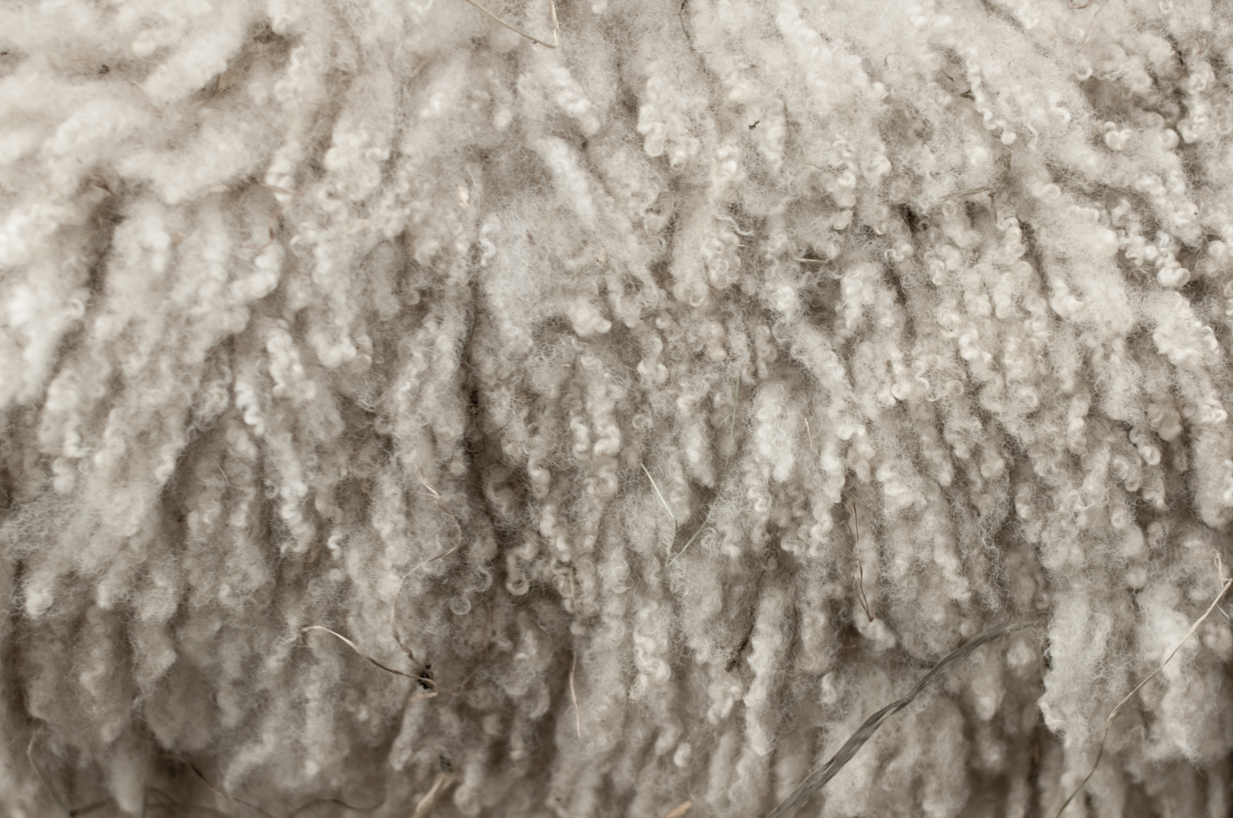 Wool - Wikiwand