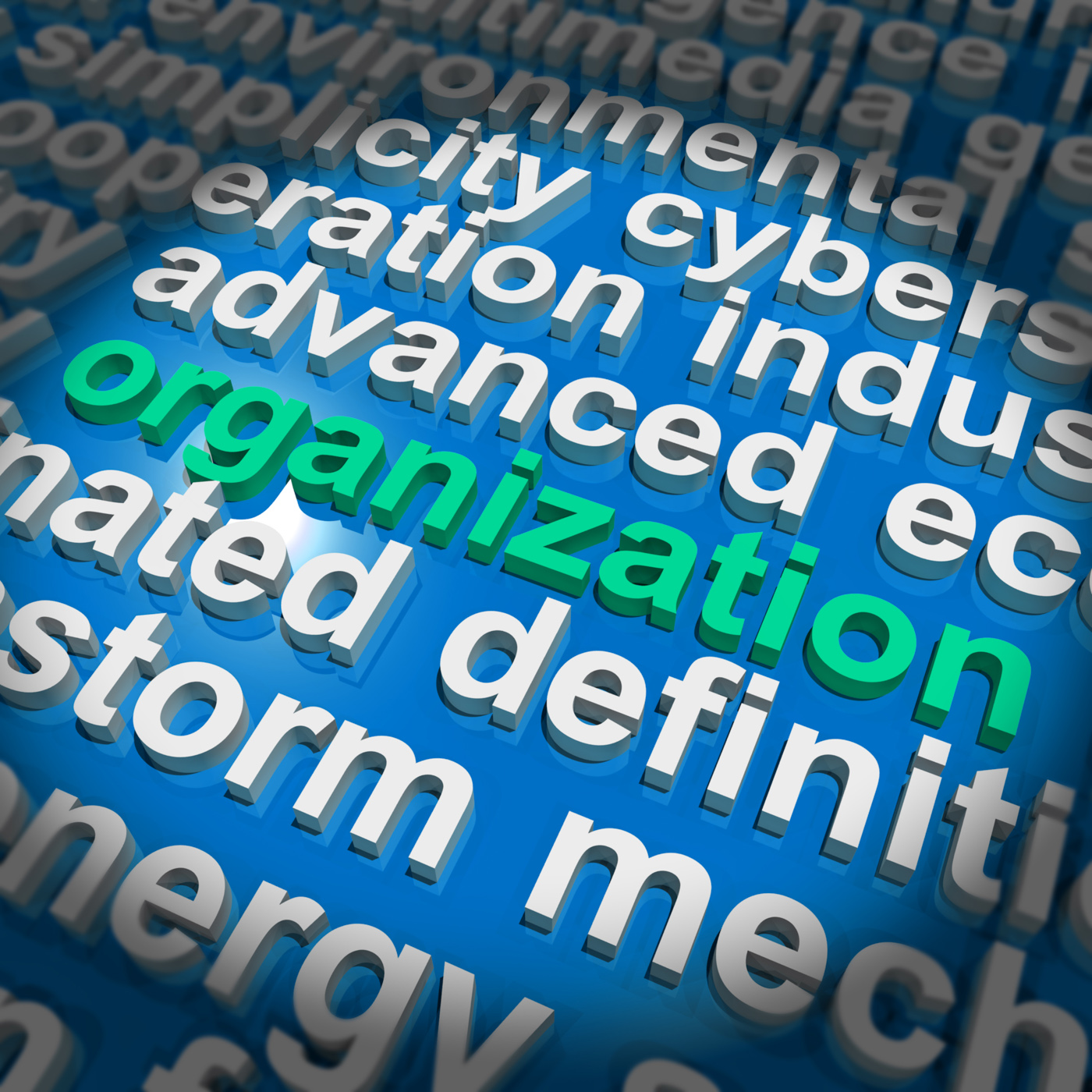 Word organzation representing business company or management photo