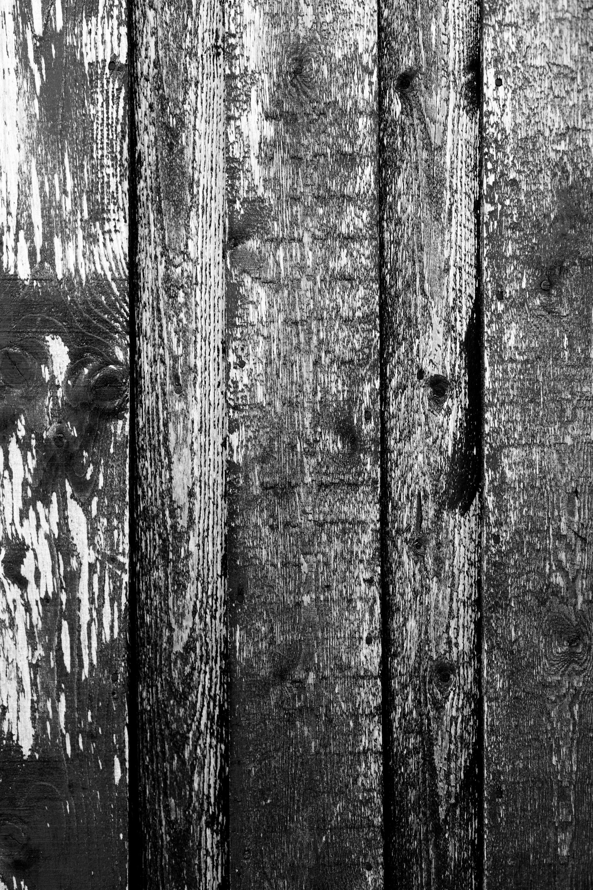 Worn Wood Panel, Black, Dark, Freetexturefrida, Gray, HQ Photo