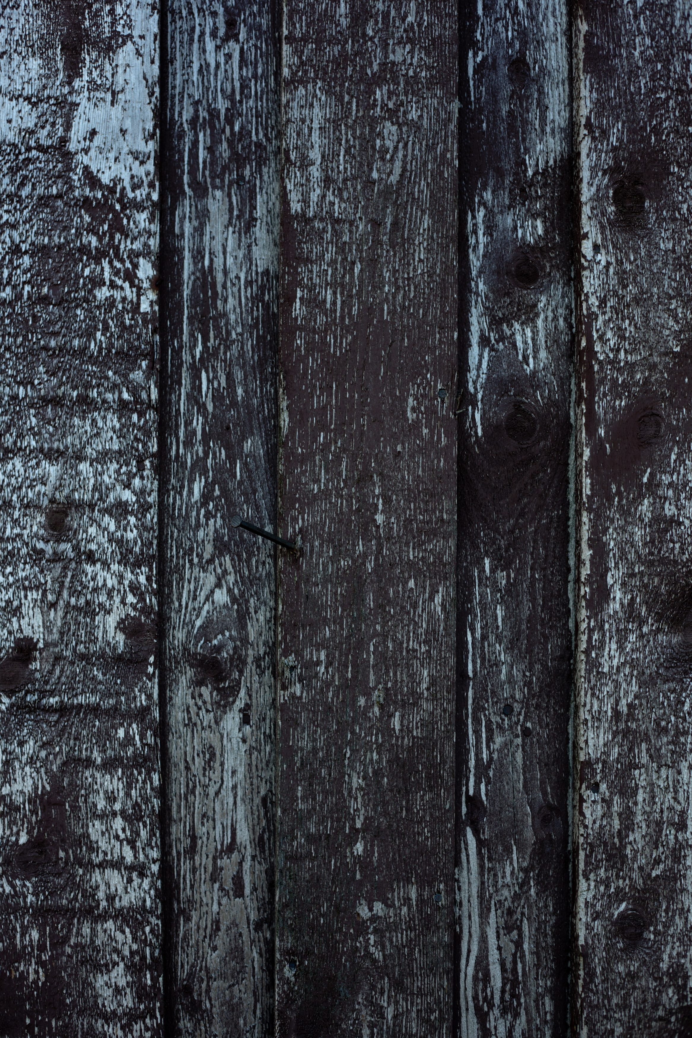 Worn Wood Panel, Dry, Freetexturefrida, Grunge, Grungy, HQ Photo