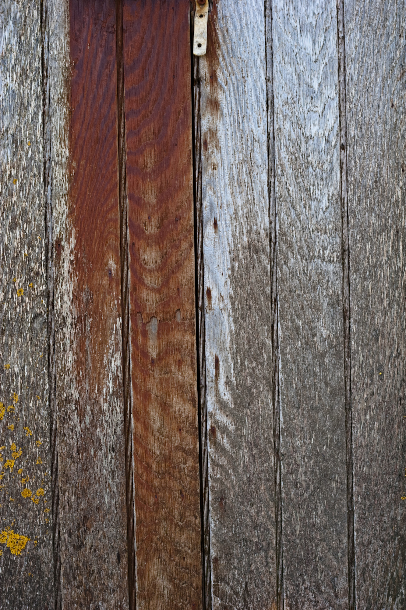 Worn wood texture photo