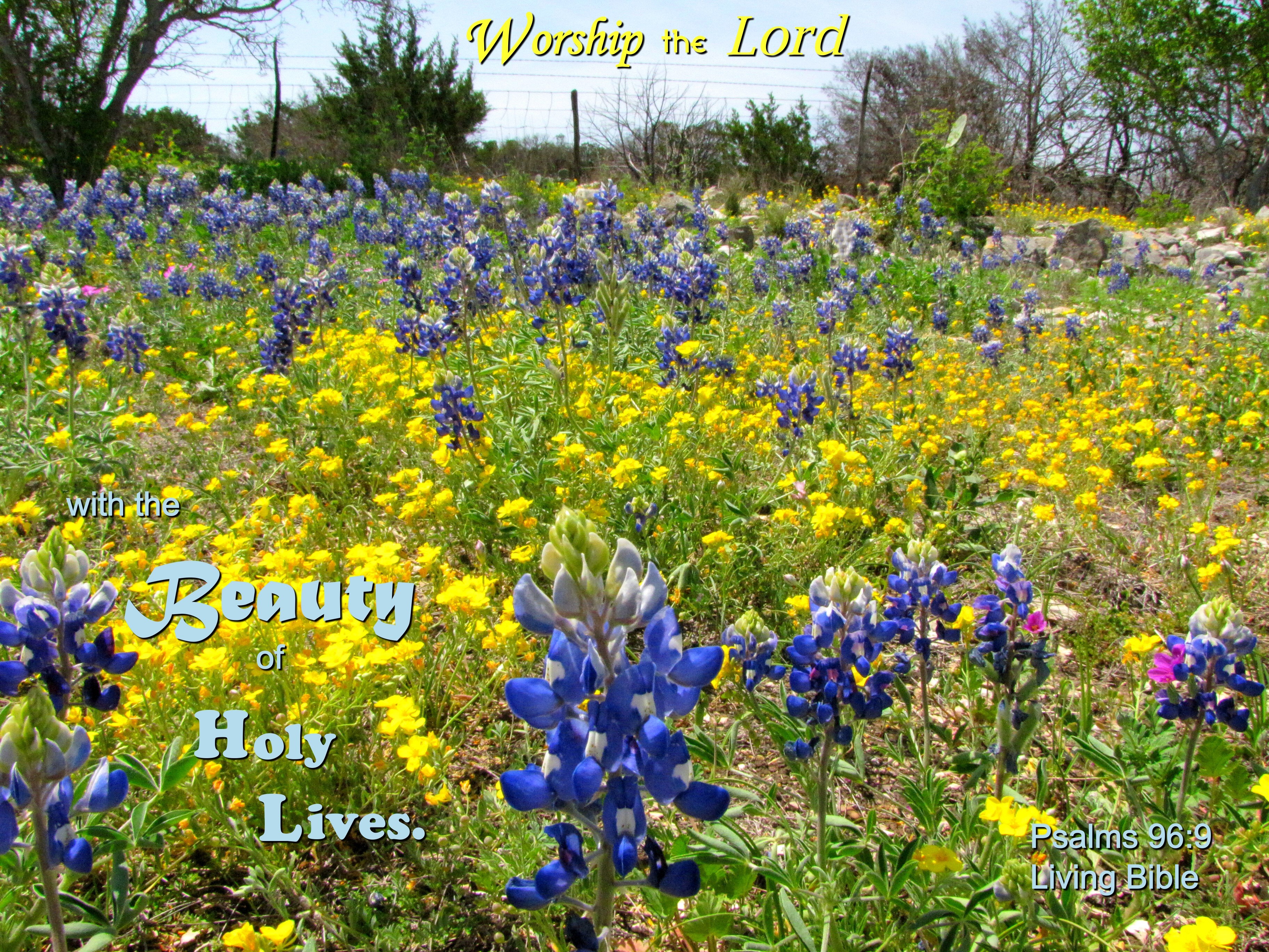Worship with holy lives photo
