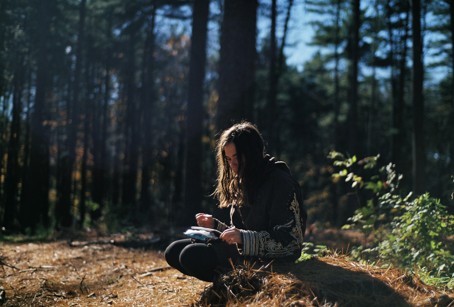 Writer in the woods photo