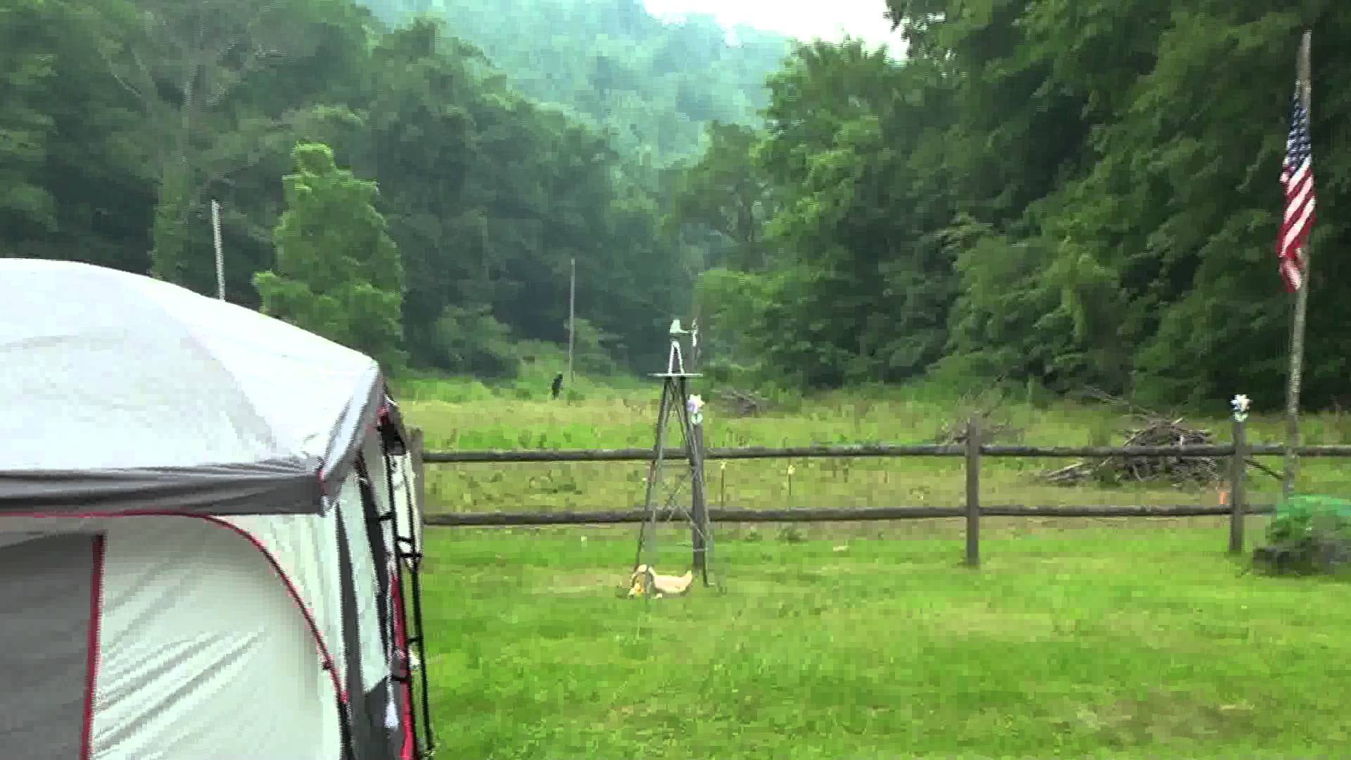 Bigfoot sighting in West Virginia - July 2011 - YouTube