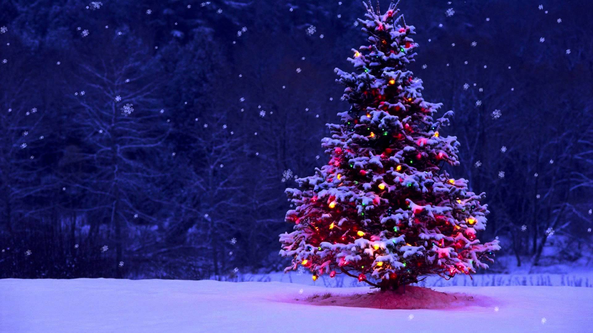 free-photo-xmas-christmas-claus-holiday-free-download-jooinn