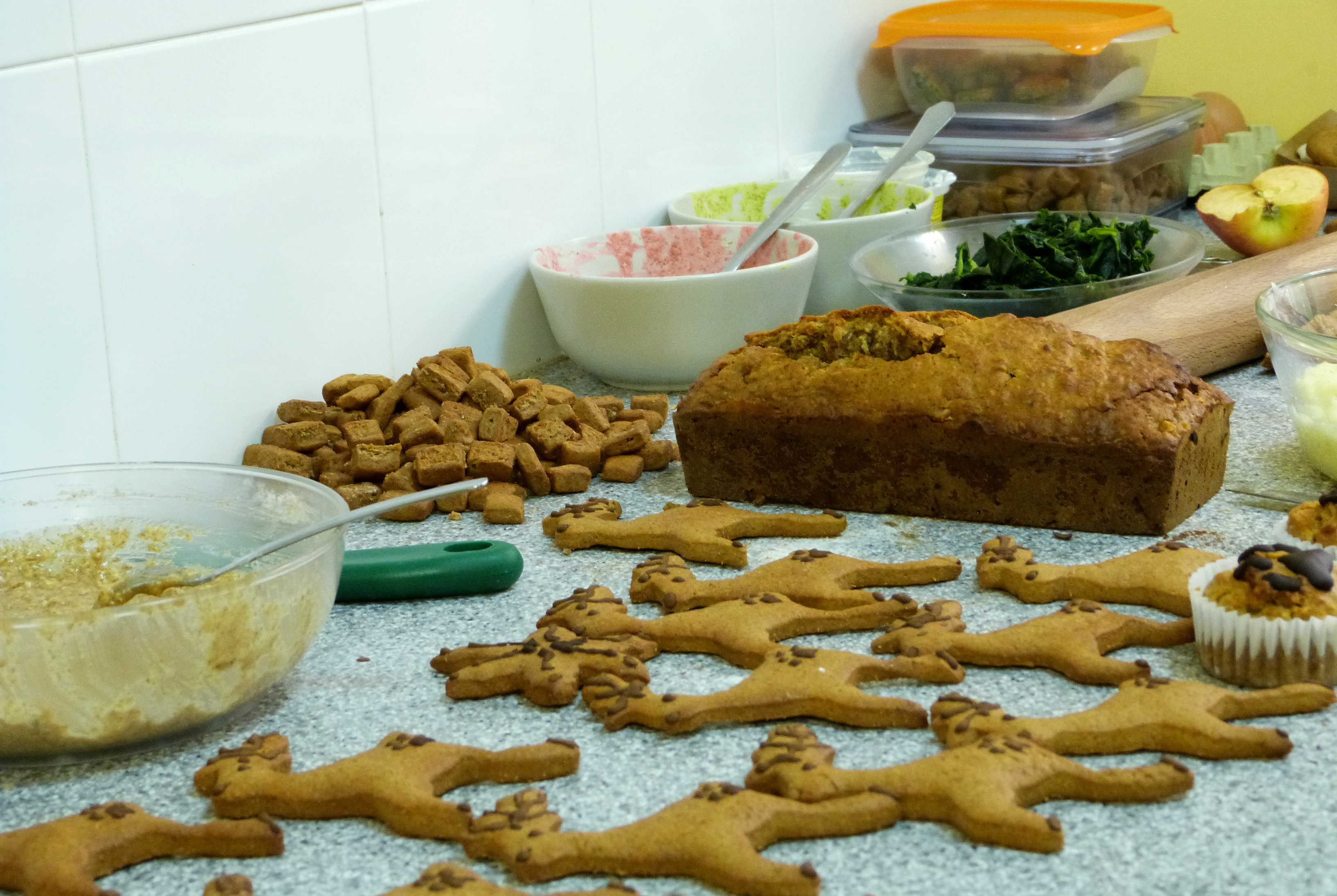 Xmas doggie buffet at Snouts, 2015, Bakery, Biscuits, Buffet, HQ Photo
