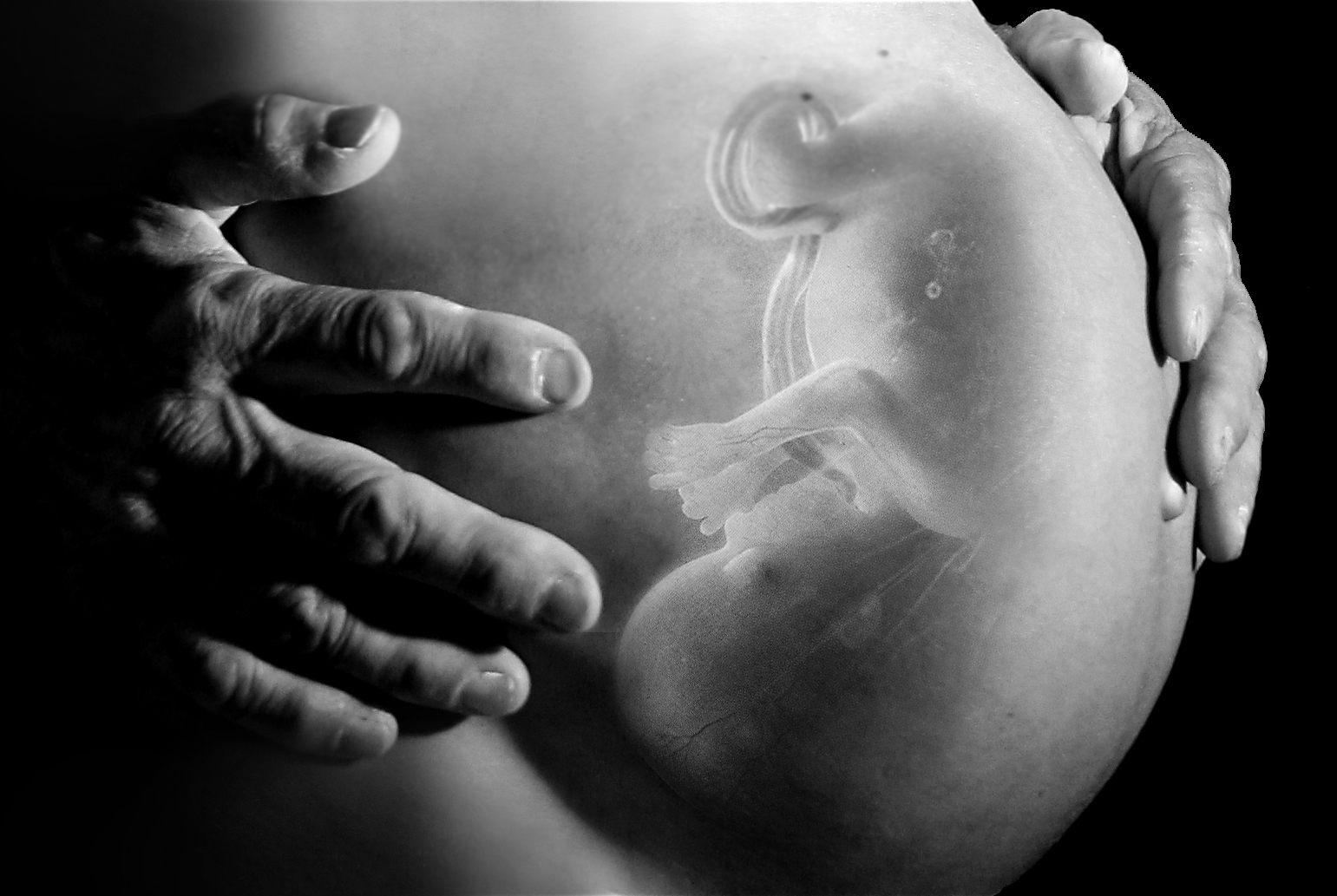 Xray baby in stomach photo