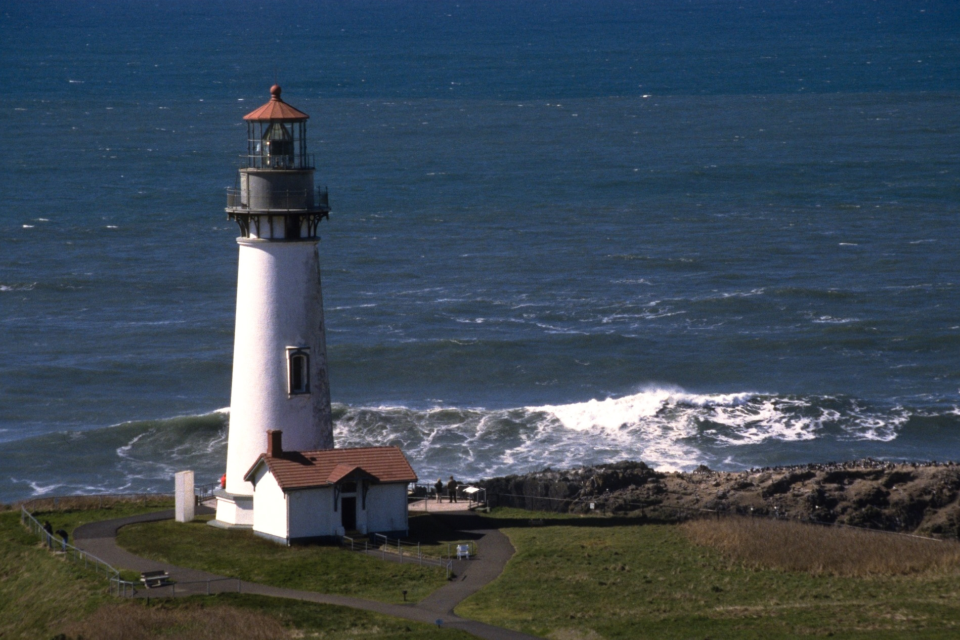Image - Yaquina Head Lighthouse-20-1-.jpg | Life is Strange Wiki ...