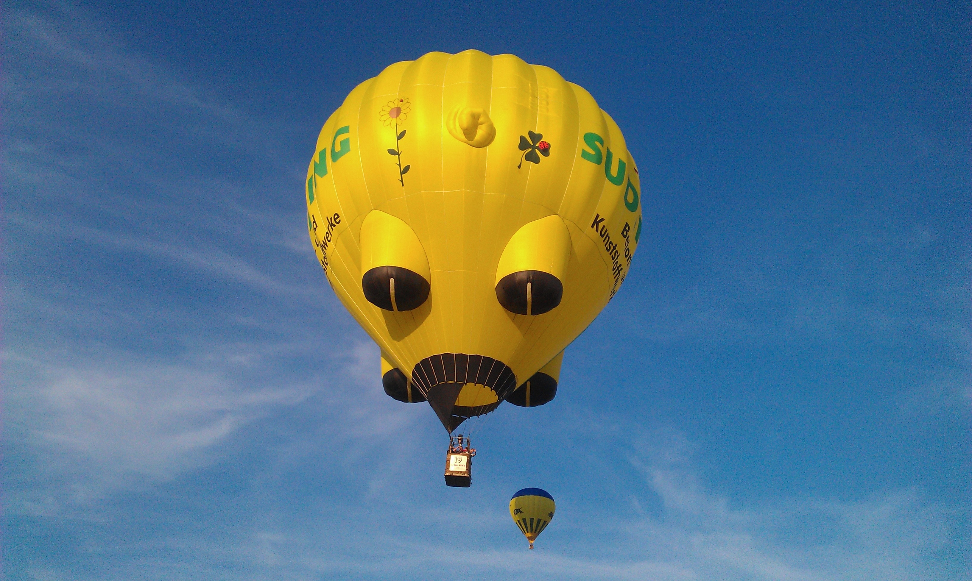 Yellow and black hot air balloons on mid air under white clouds blue sky during daytime photo