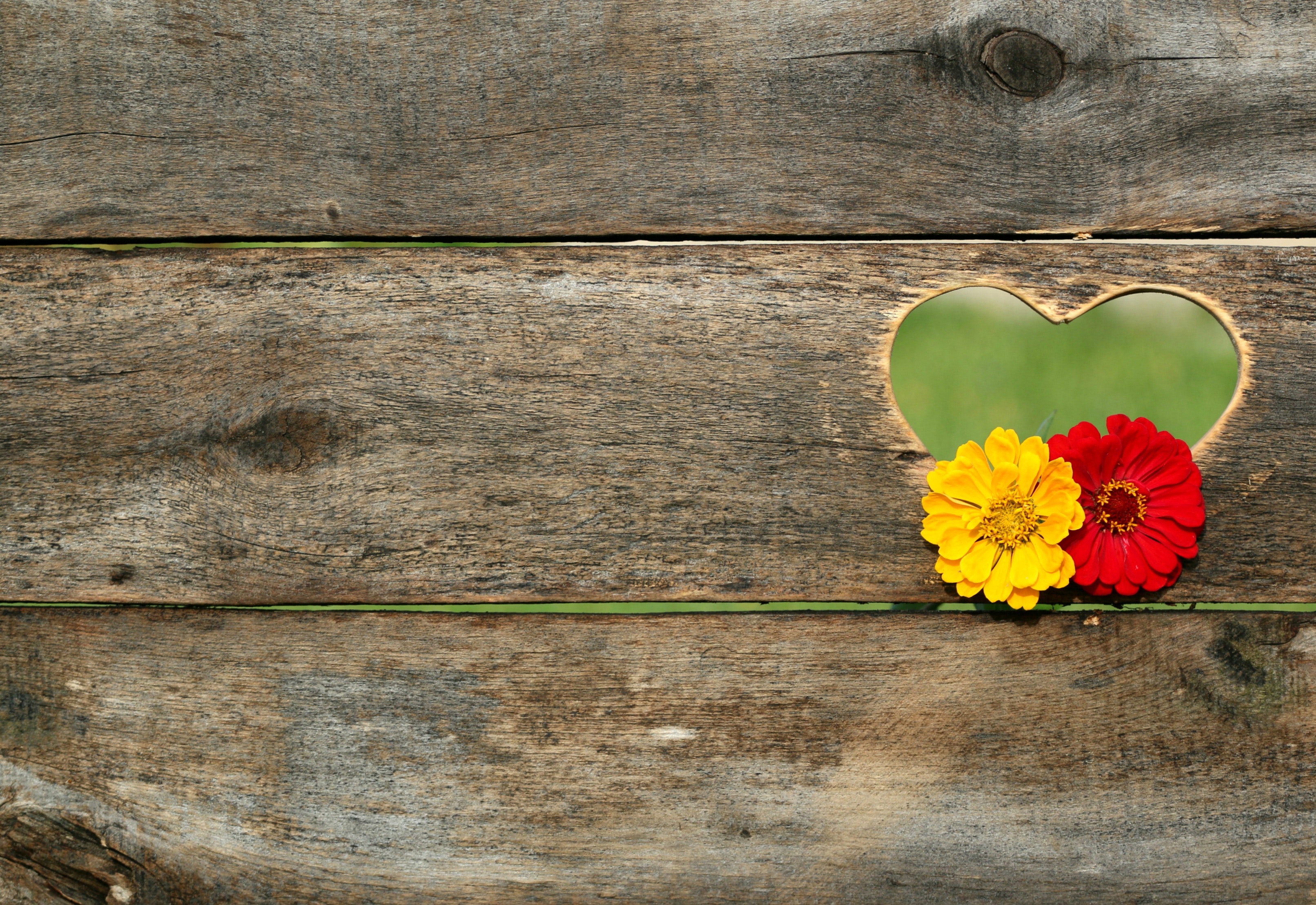 Yellow and red flower on brown heart wooden carved panel photo