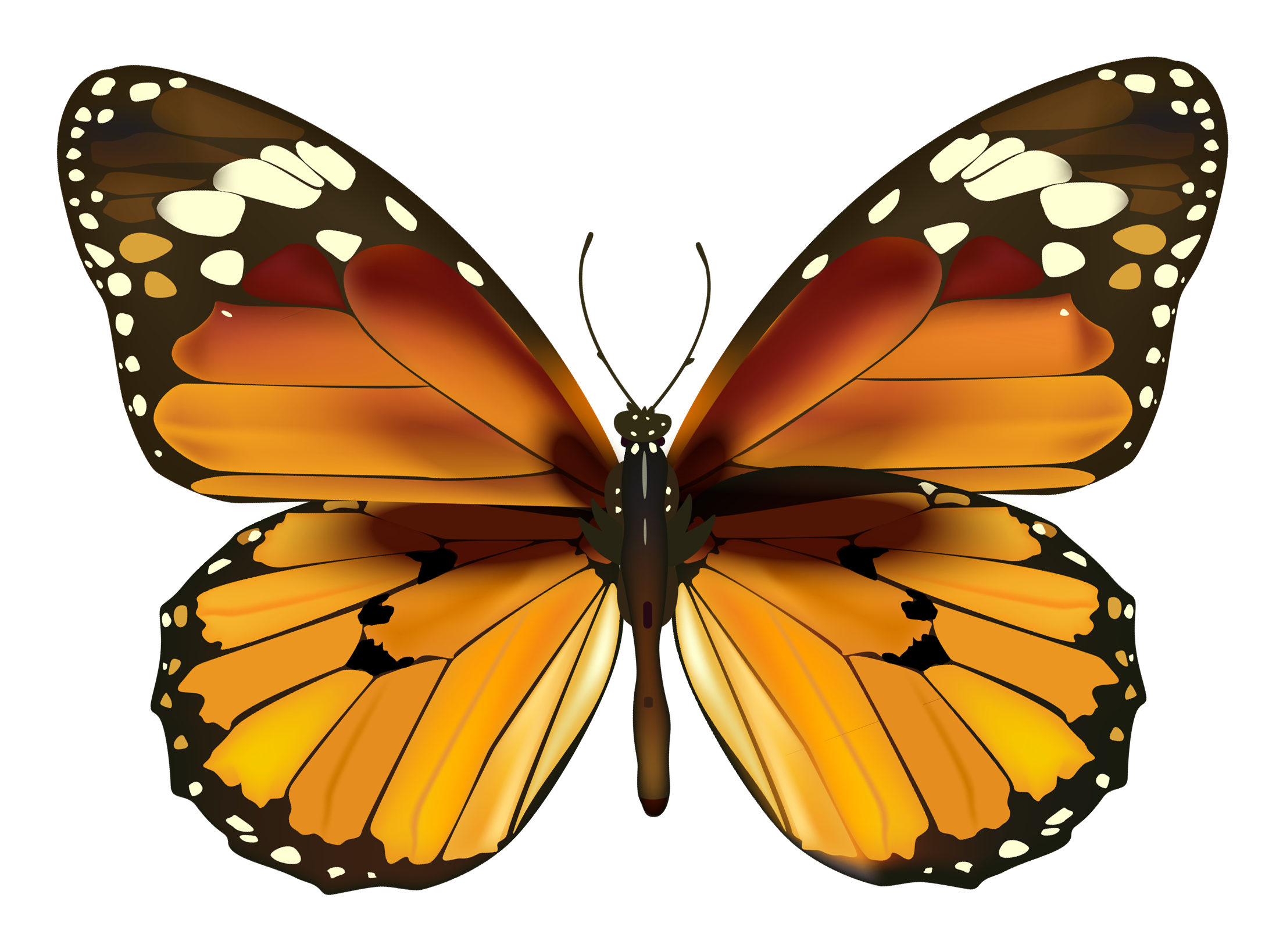 Yellow Butterfly PNG Clipart | Gallery Yopriceville - High-Quality ...