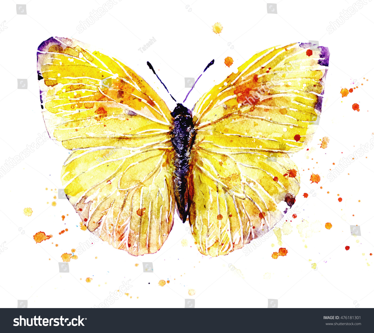 Watercolor Yellow Butterfly Colorful Drops Isolated Stock ...