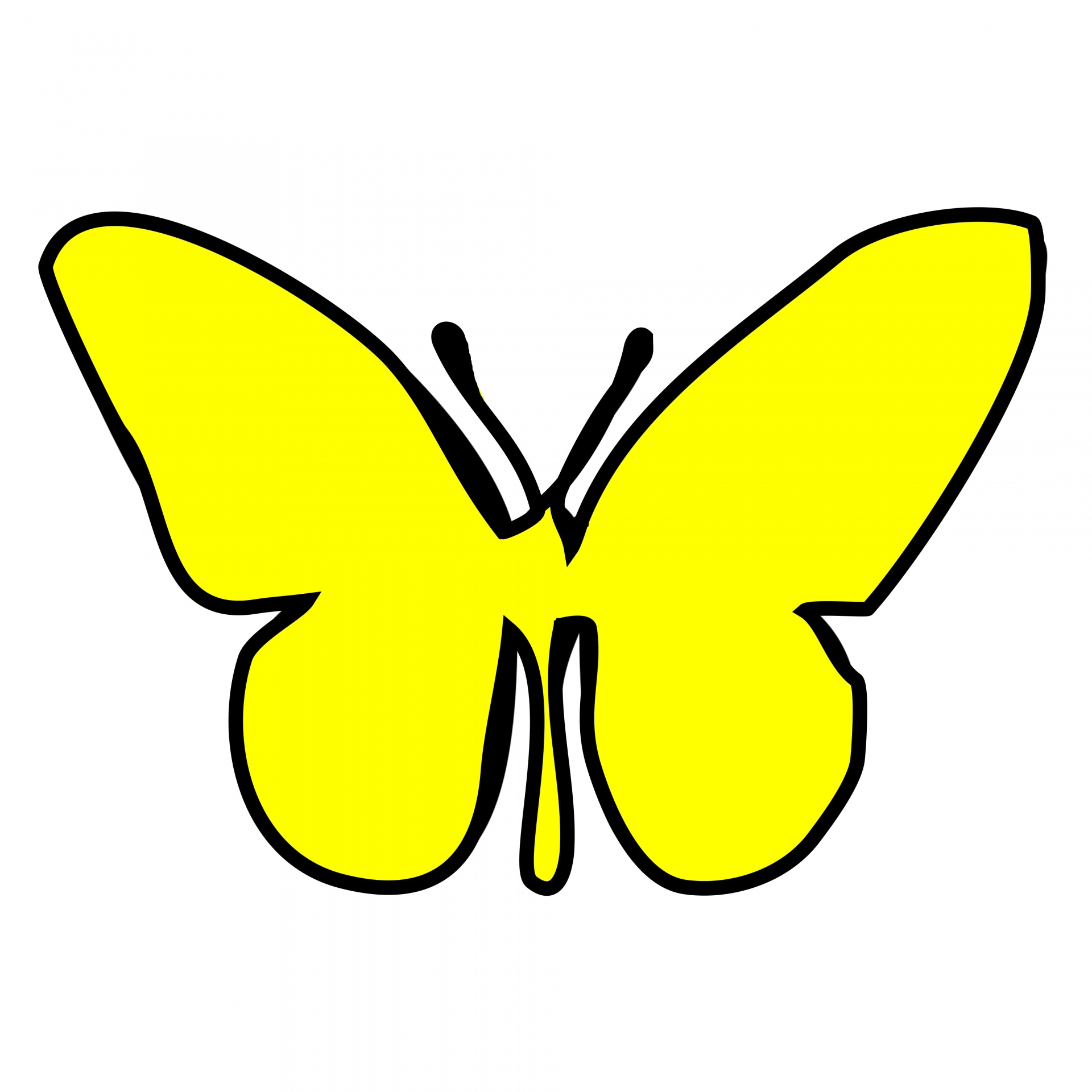 Yellow butterfly photo