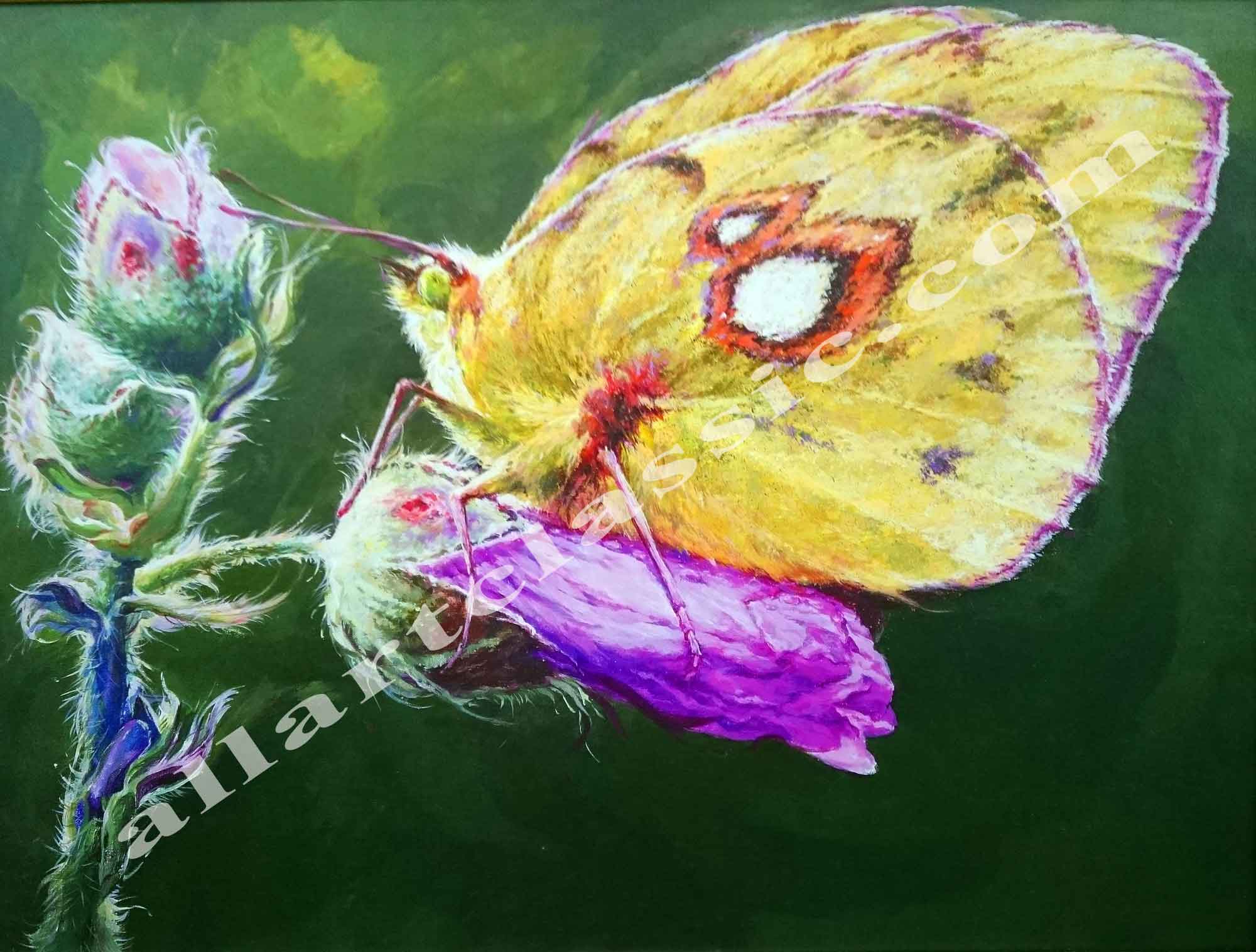 Cheap Paintings for Sale - Original Yellow Butterfly Painting on Canvas