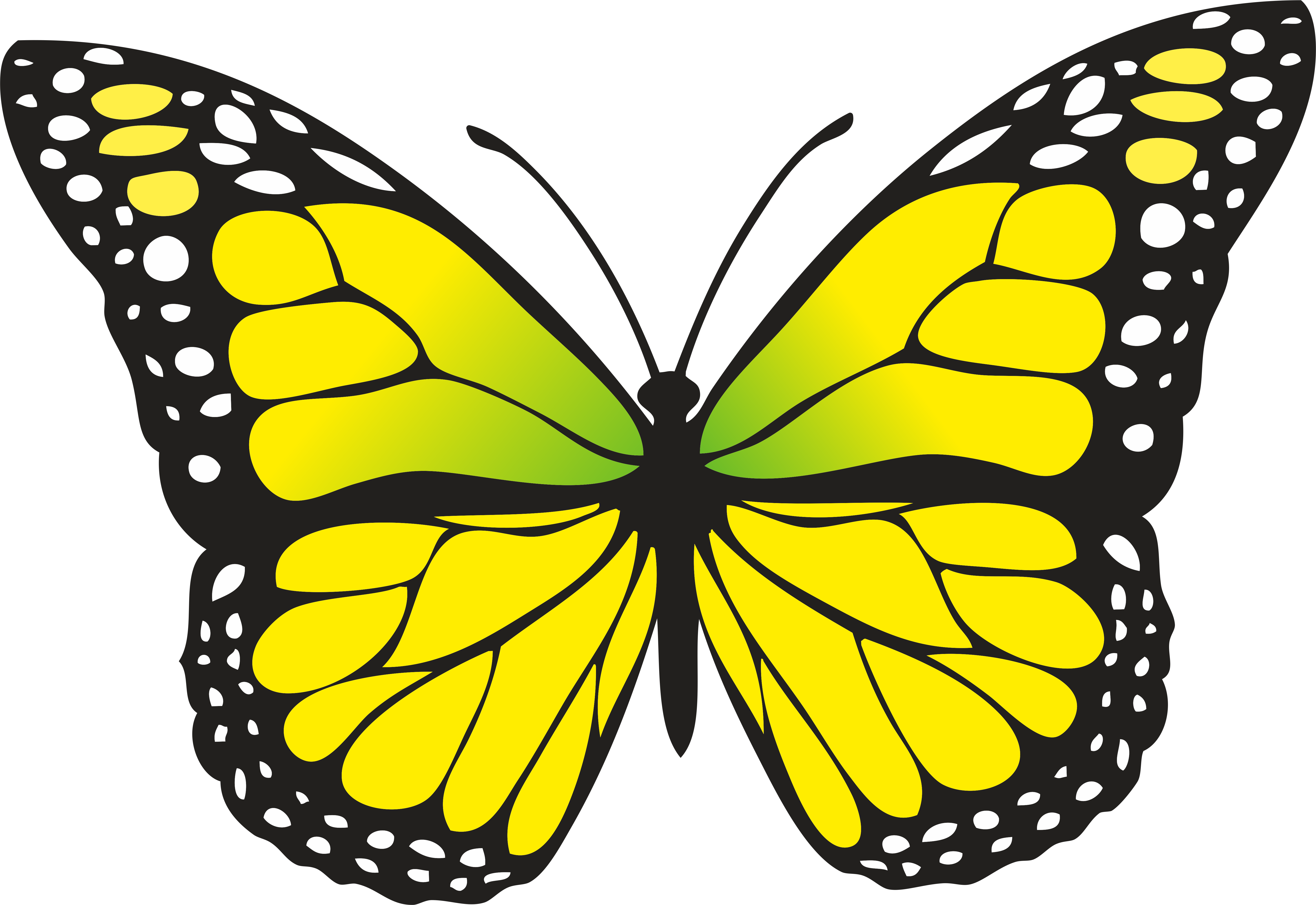 Yellow butterfly draft free image