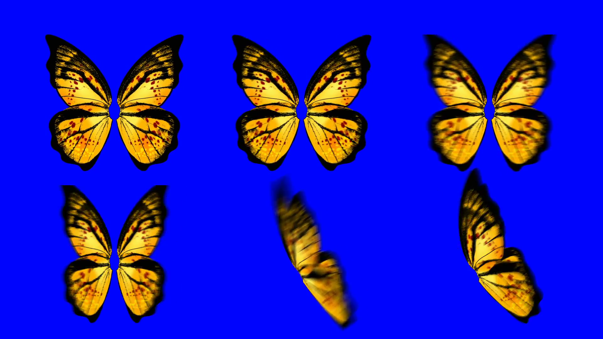 A set of Yellow Butterfly Wings Waving in Different Speed and Angles ...