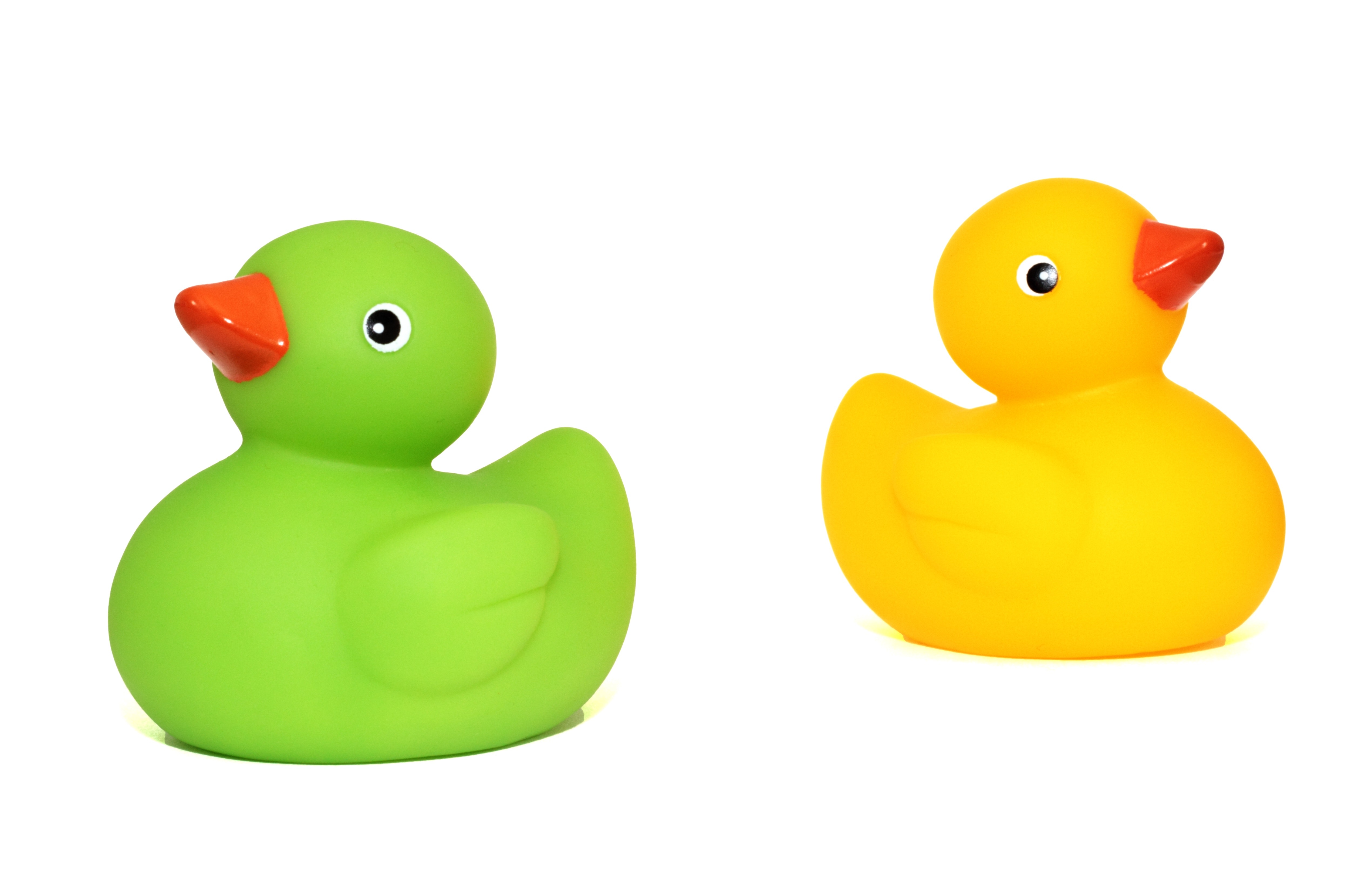 Toy Ducks