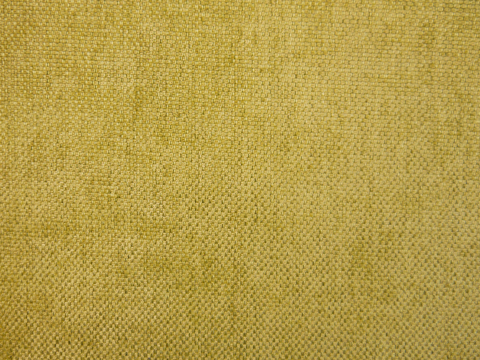 Mustard Velvet Upholstery Fabric, Adagio 2541 - Modelli Fabrics