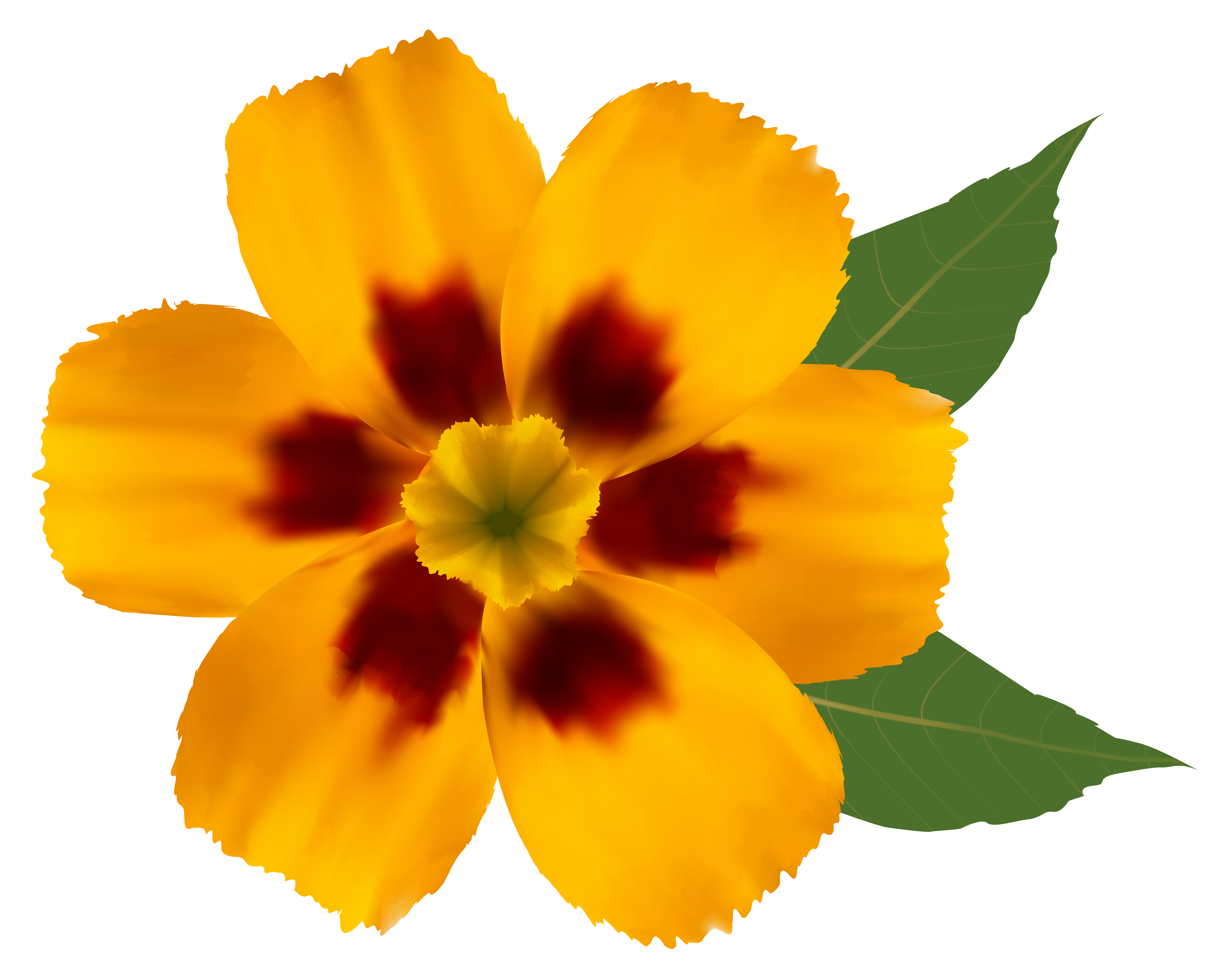 Yellow Flower PNG Clipart Image | Gallery Yopriceville - High ...