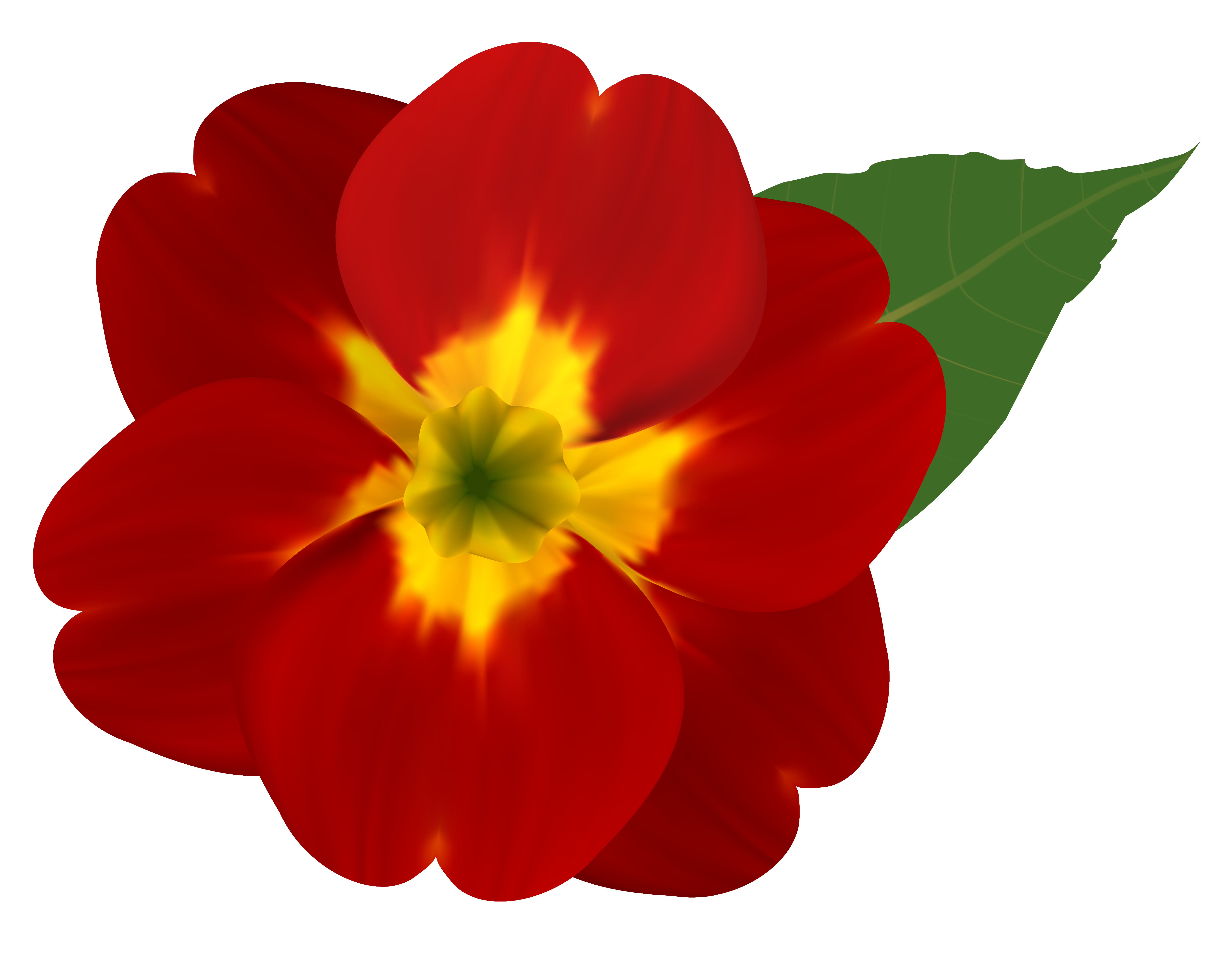 Red and Yellow Flower PNG Clipart Image | Gallery Yopriceville ...