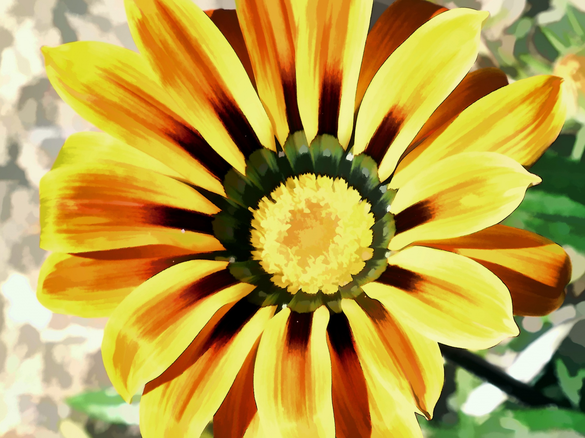 Yellow Flower Free Stock Photo - Public Domain Pictures