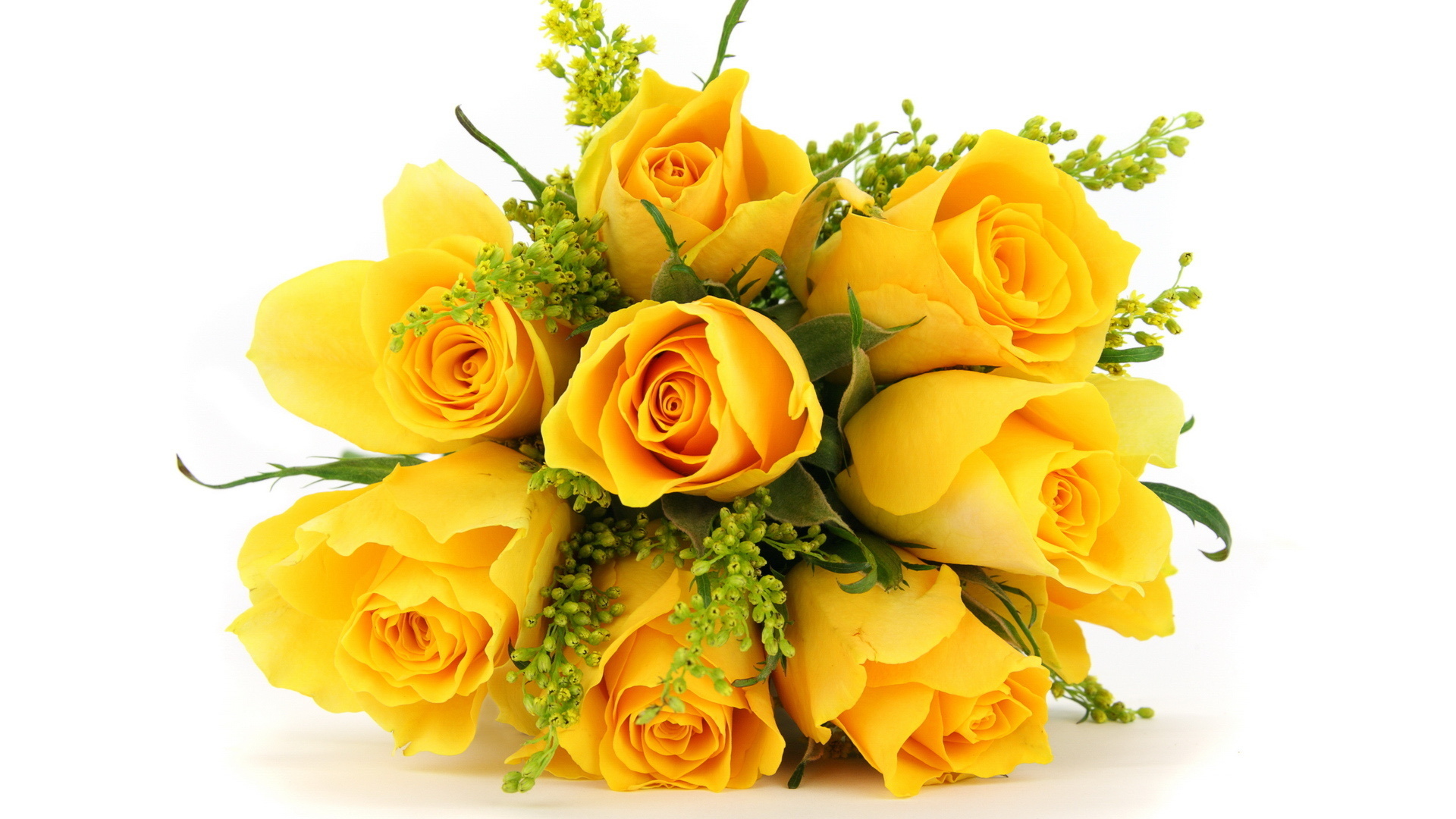 Flowers :: Bouquets :: Yellow Roses :: Bouquet of 12 Yellow Roses
