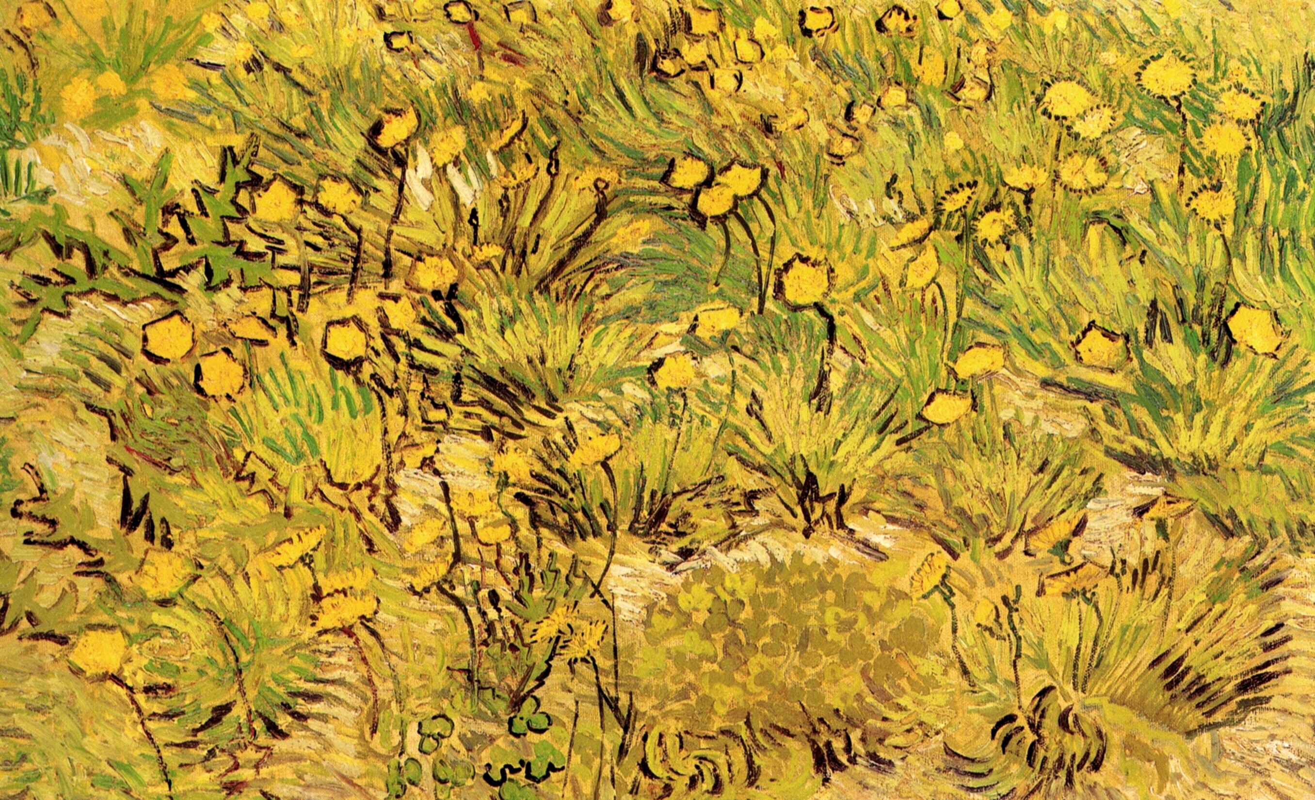 Van Gogh - A Field of Yellow Flowers 1889 - art-vanGogh.com