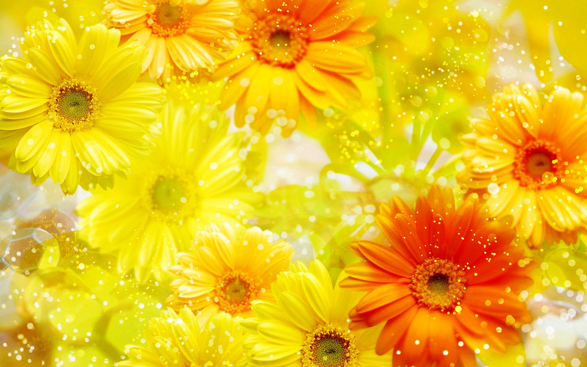 Flowers Yellow Bloom wallpapers (Desktop, Phone, Tablet) - Awesome ...