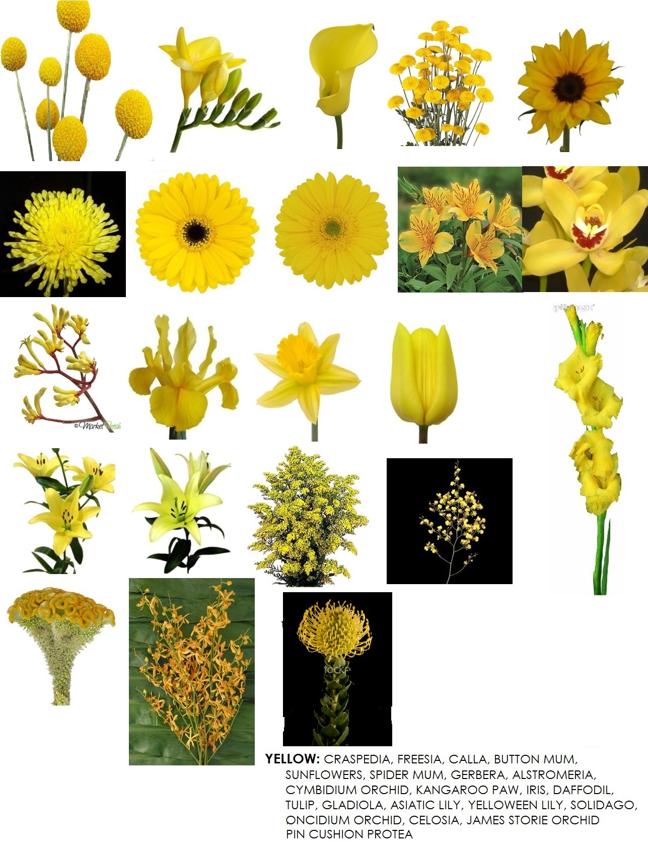 yellow flowers - Dahlia Floral Design