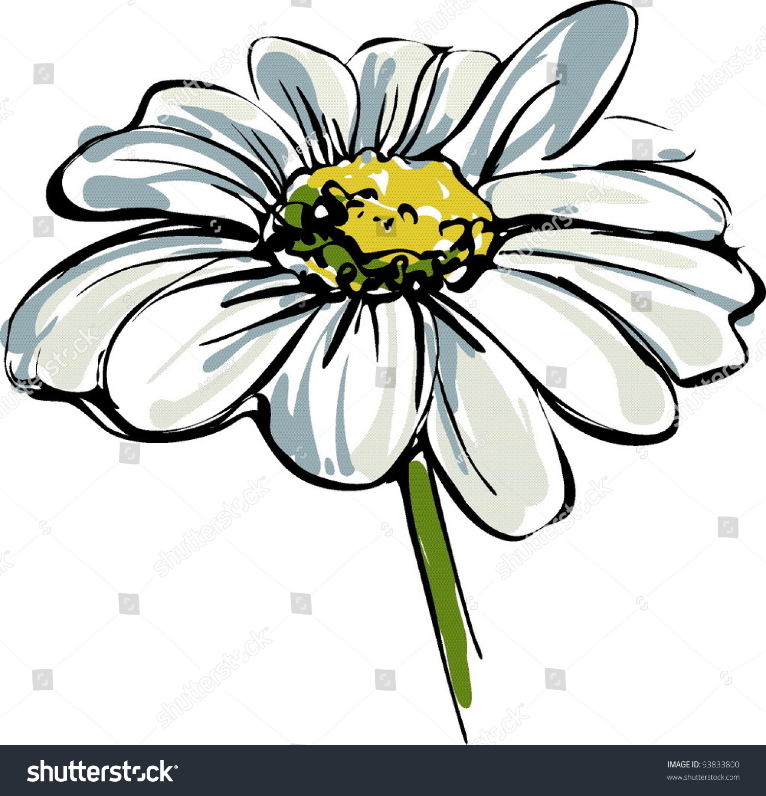 Sketch Wild Flower Resembling Daisy Stock Vector HD (Royalty Free ...