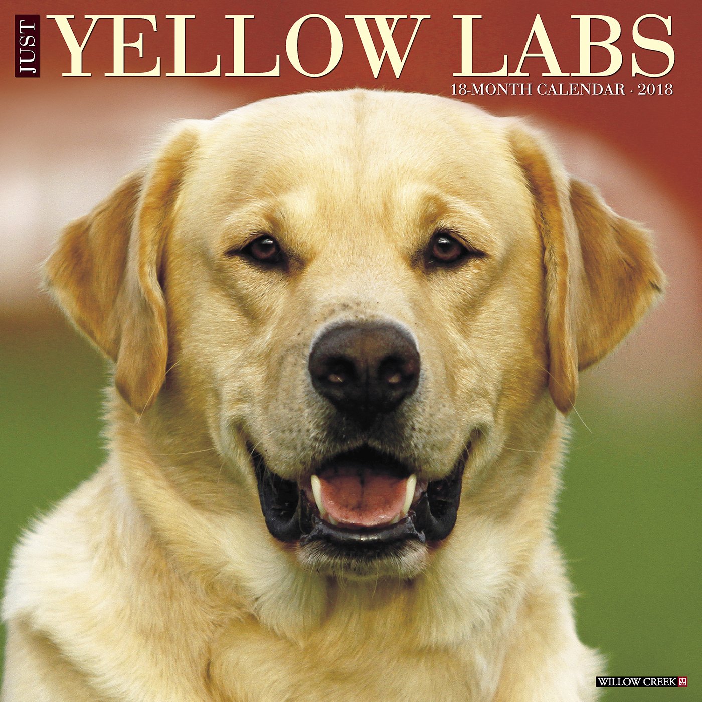 Just Yellow Labs 2018 Calendar: Willow Creek Press: 9781682346587 ...
