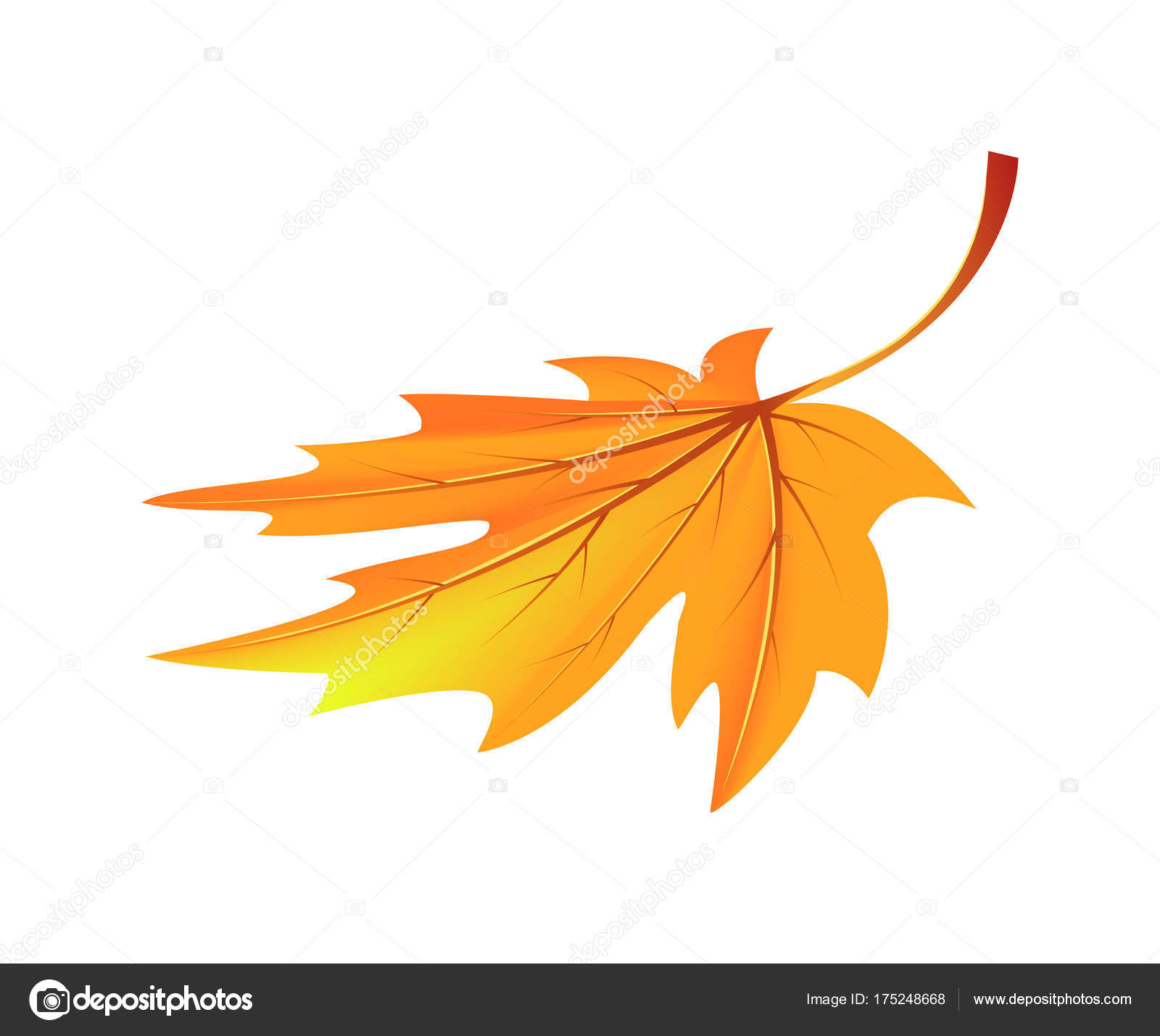 Autumn Golden Yellow Leaf Vector Illustration — Stock Vector ...