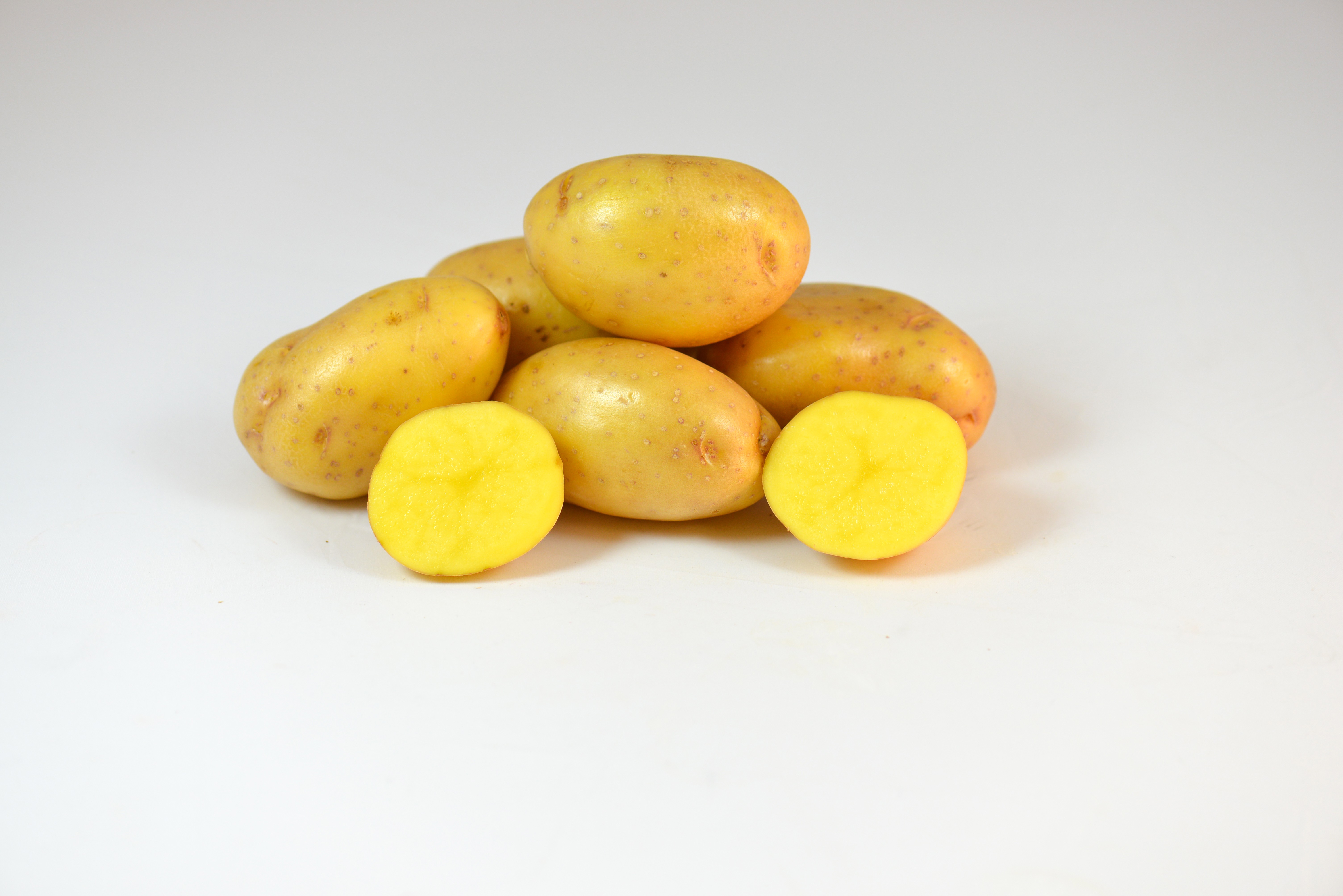 New Potato Varieties! - Irish Eyes Garden Seeds