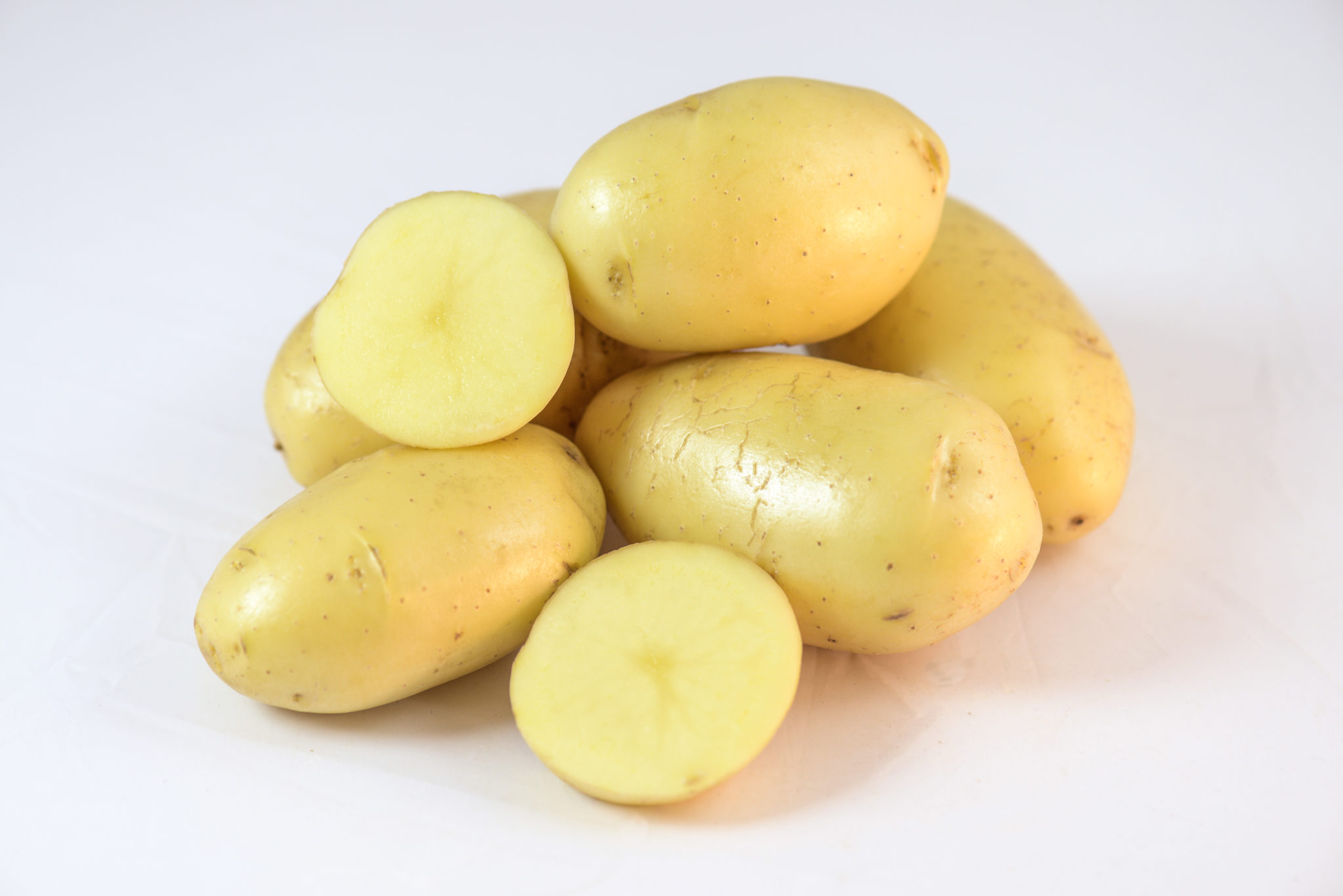Challenger - SunRain Potato Varieties