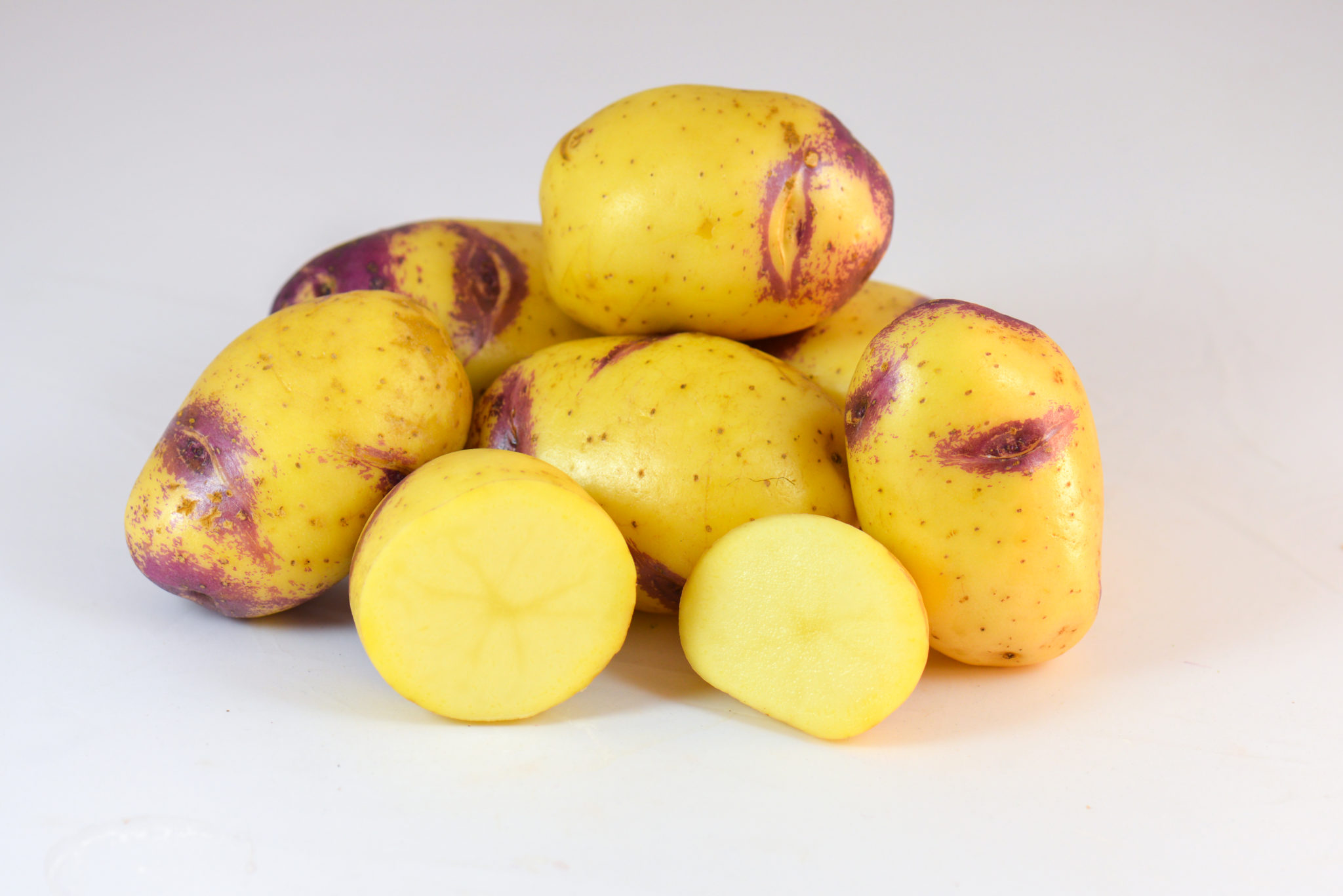 Blue Belle - SunRain Potato Varieties