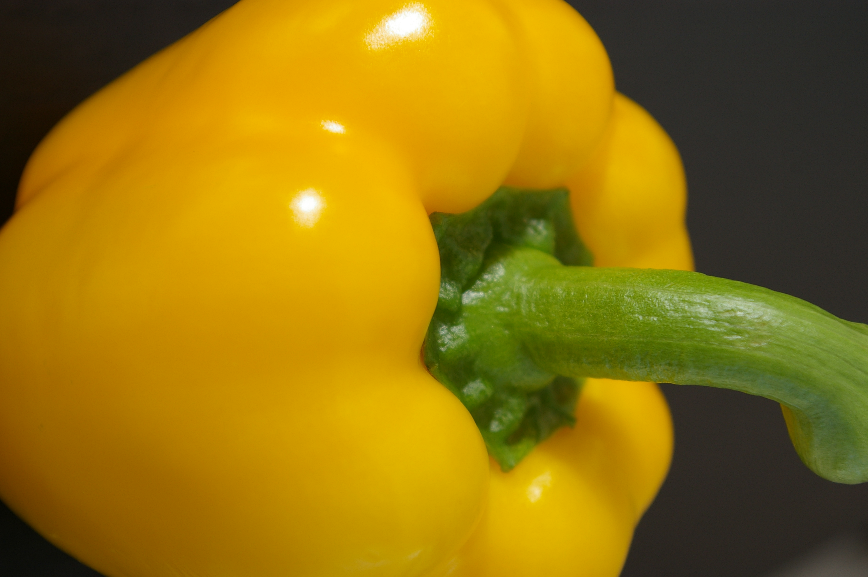 Yellow pepper photo