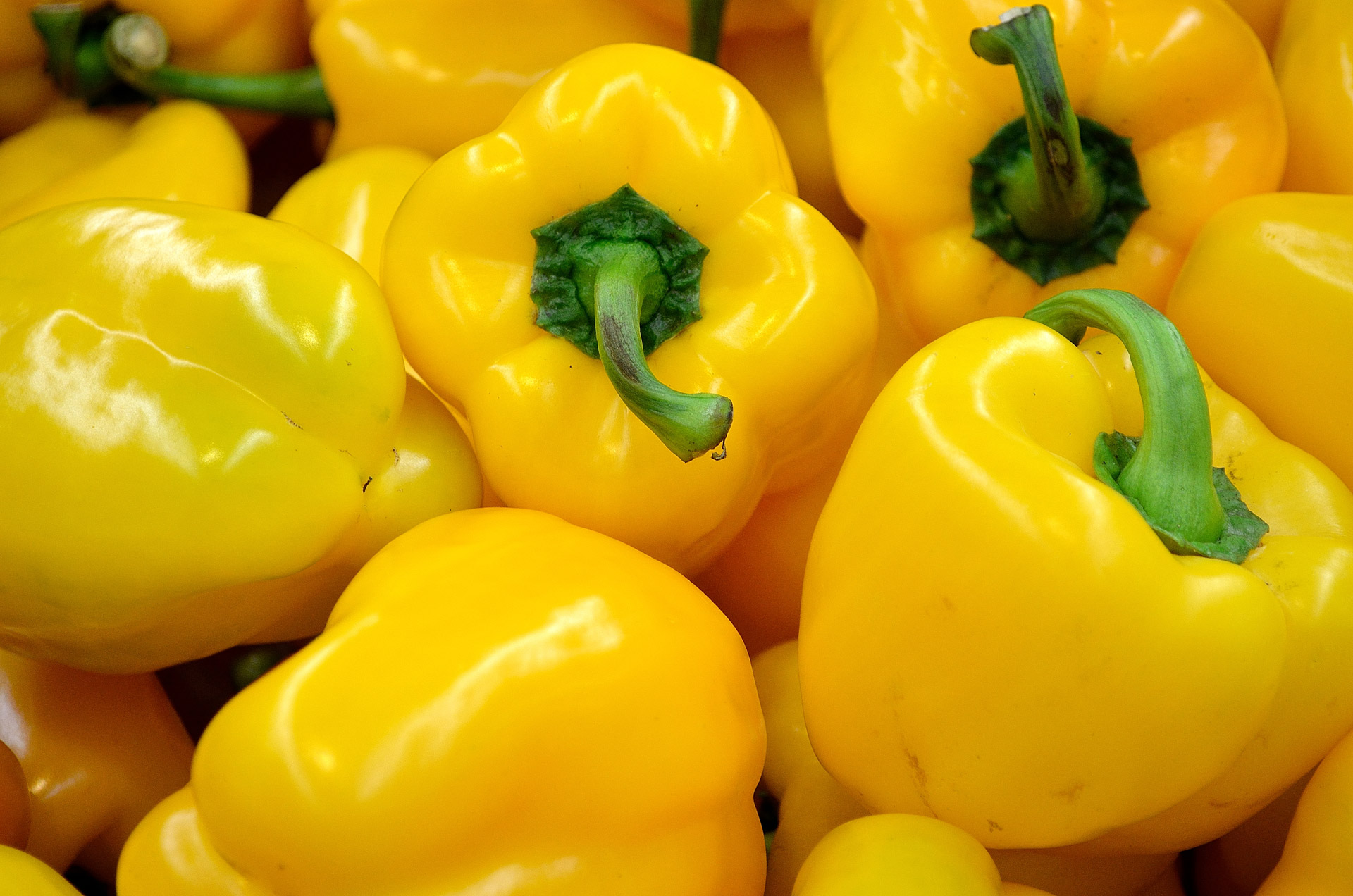 Yellow Pepper Free Stock Photo - Public Domain Pictures