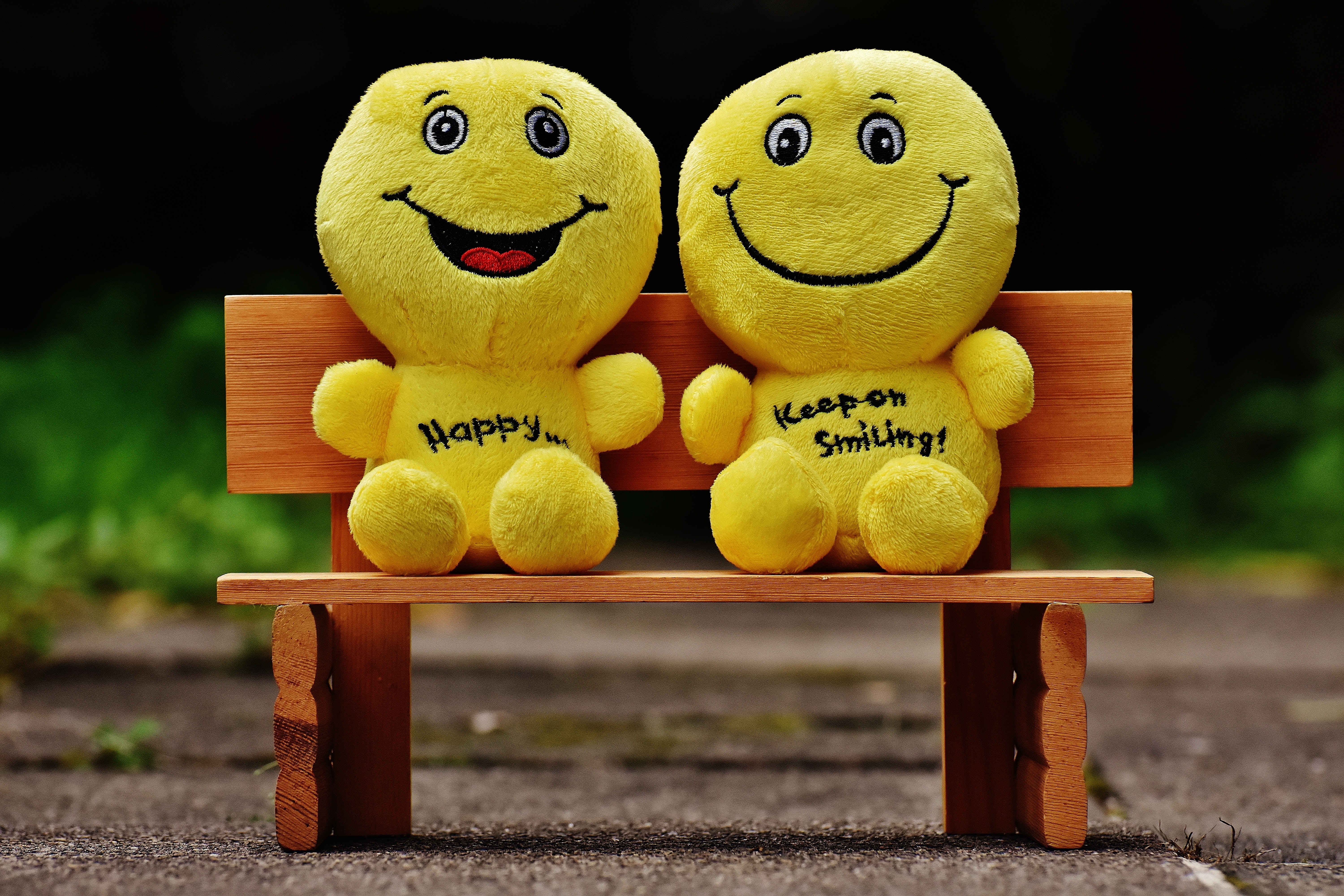 Yellow Plush Toy, Laugh, Wooden, Wood, Toy, HQ Photo