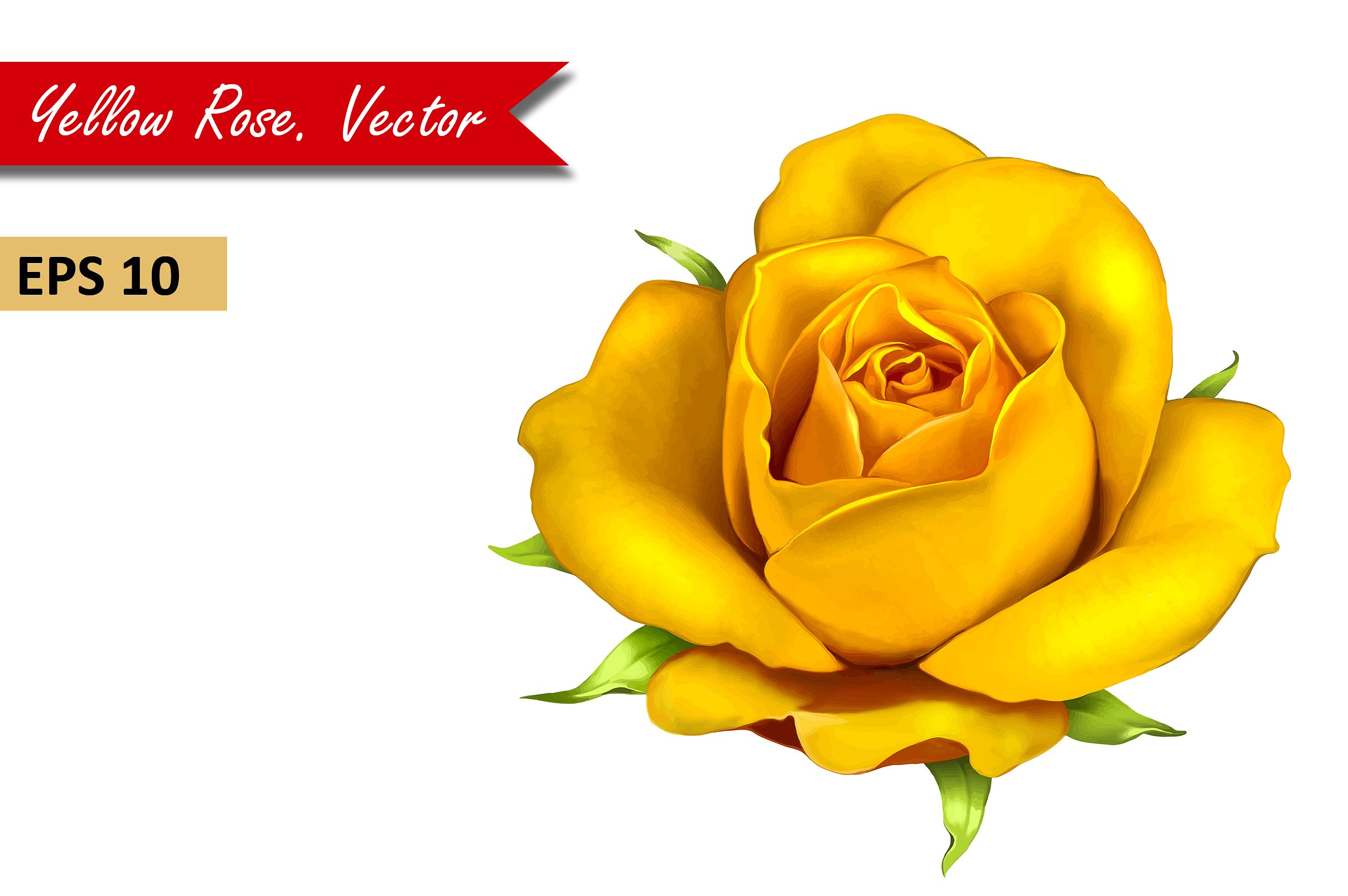 Yellow Rose Flower. Vector ~ Objects ~ Creative Market